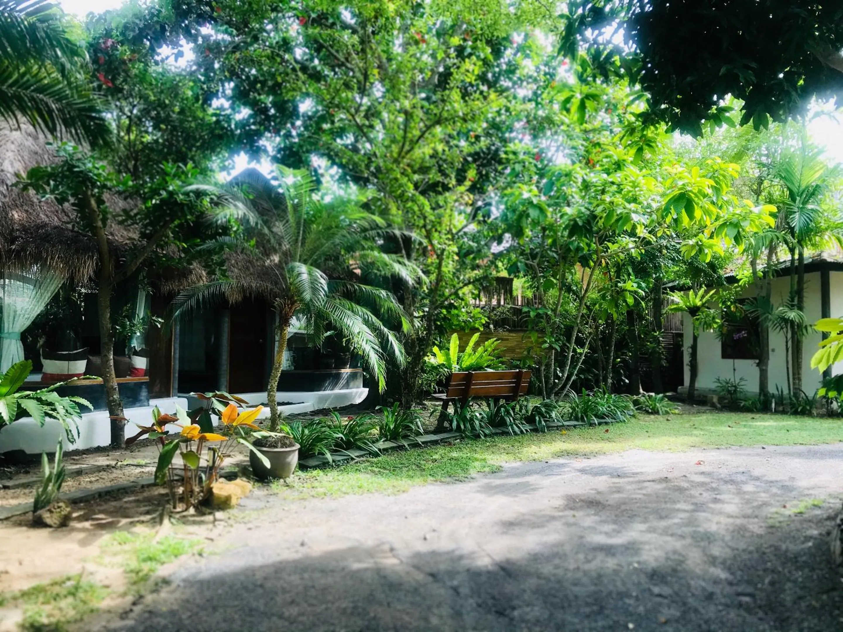 Garden in Cafe'@luv22