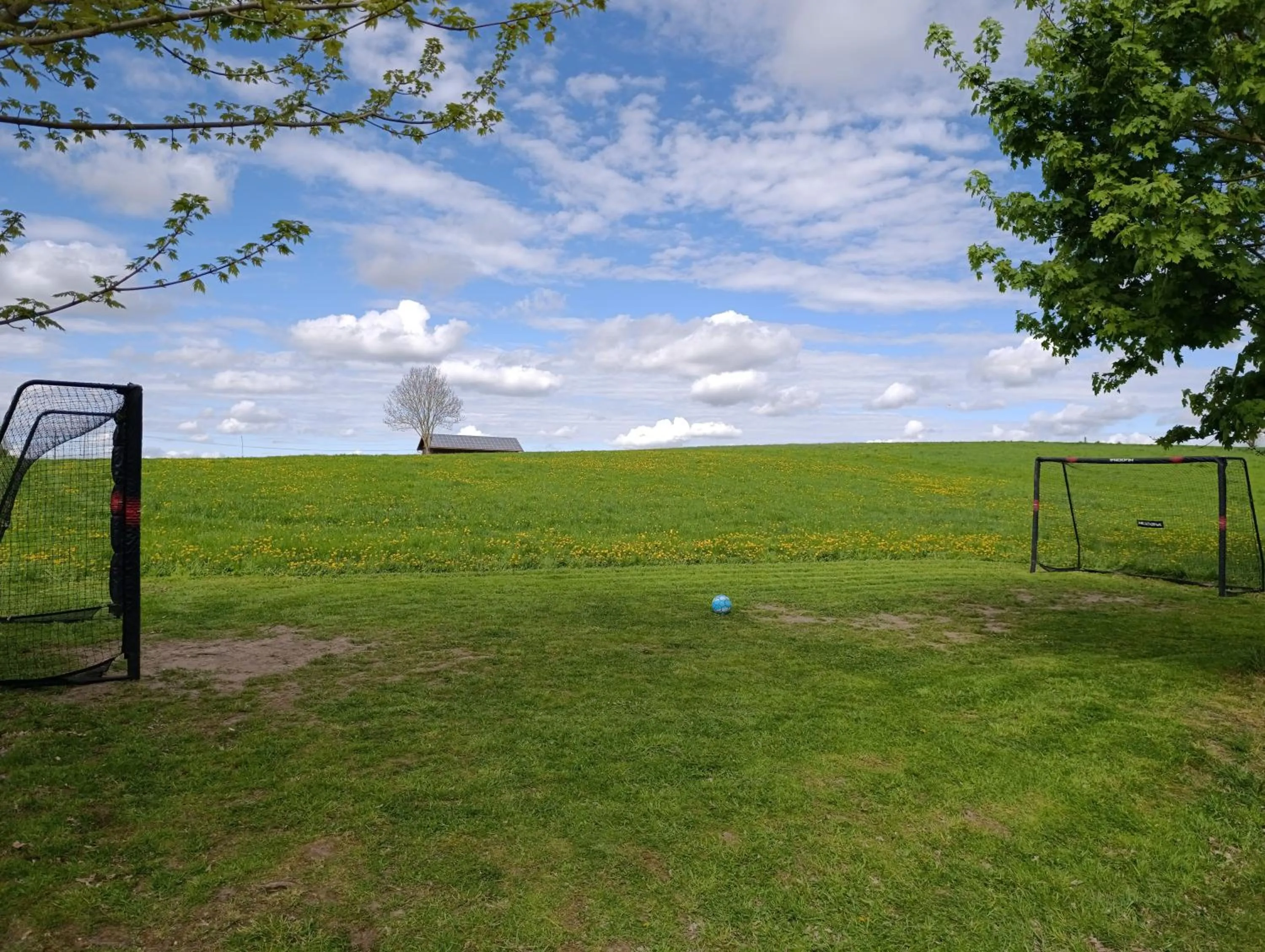 Garden in Hotel Nummerhof