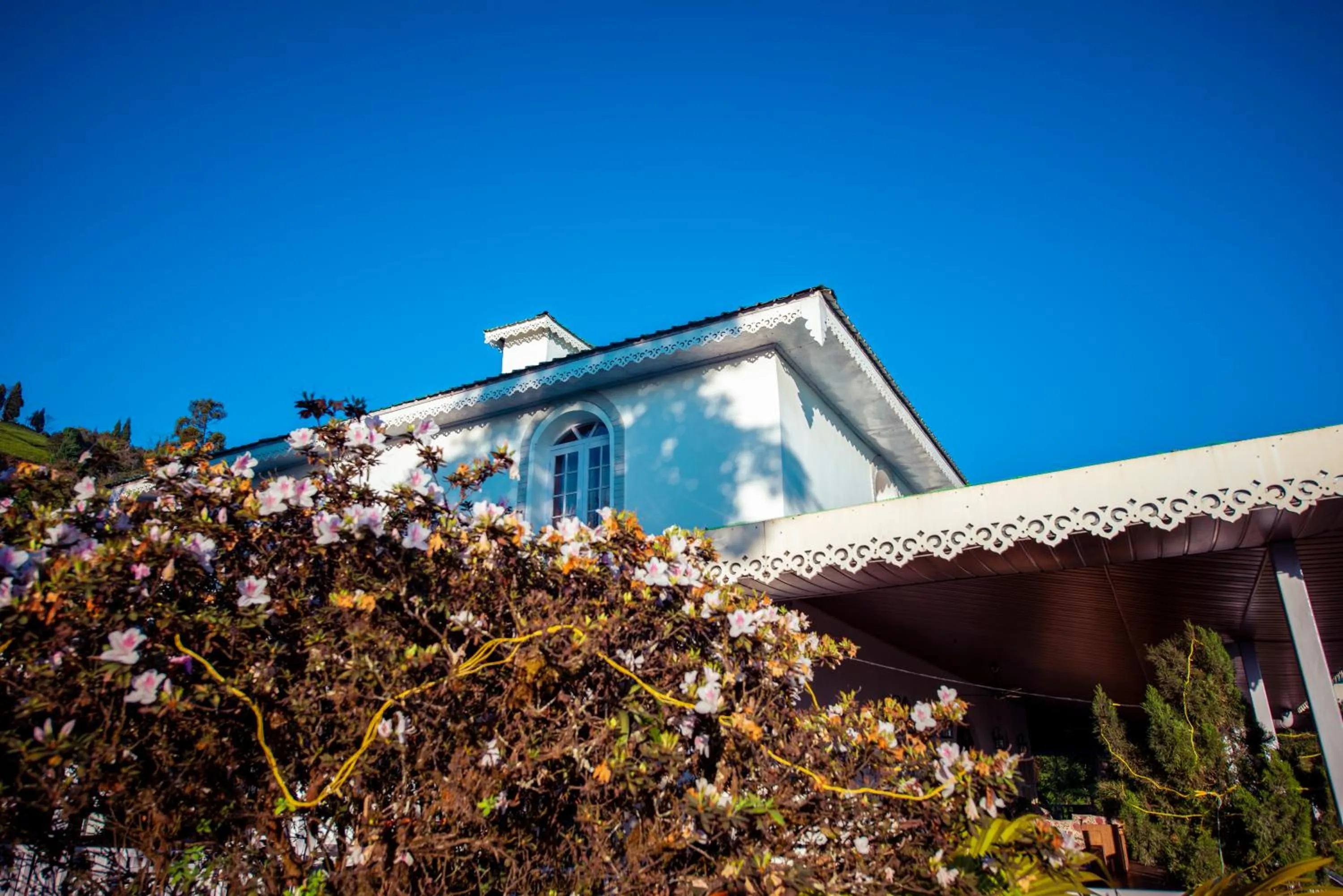 Property building in The Temi Bungalow South Sikkim