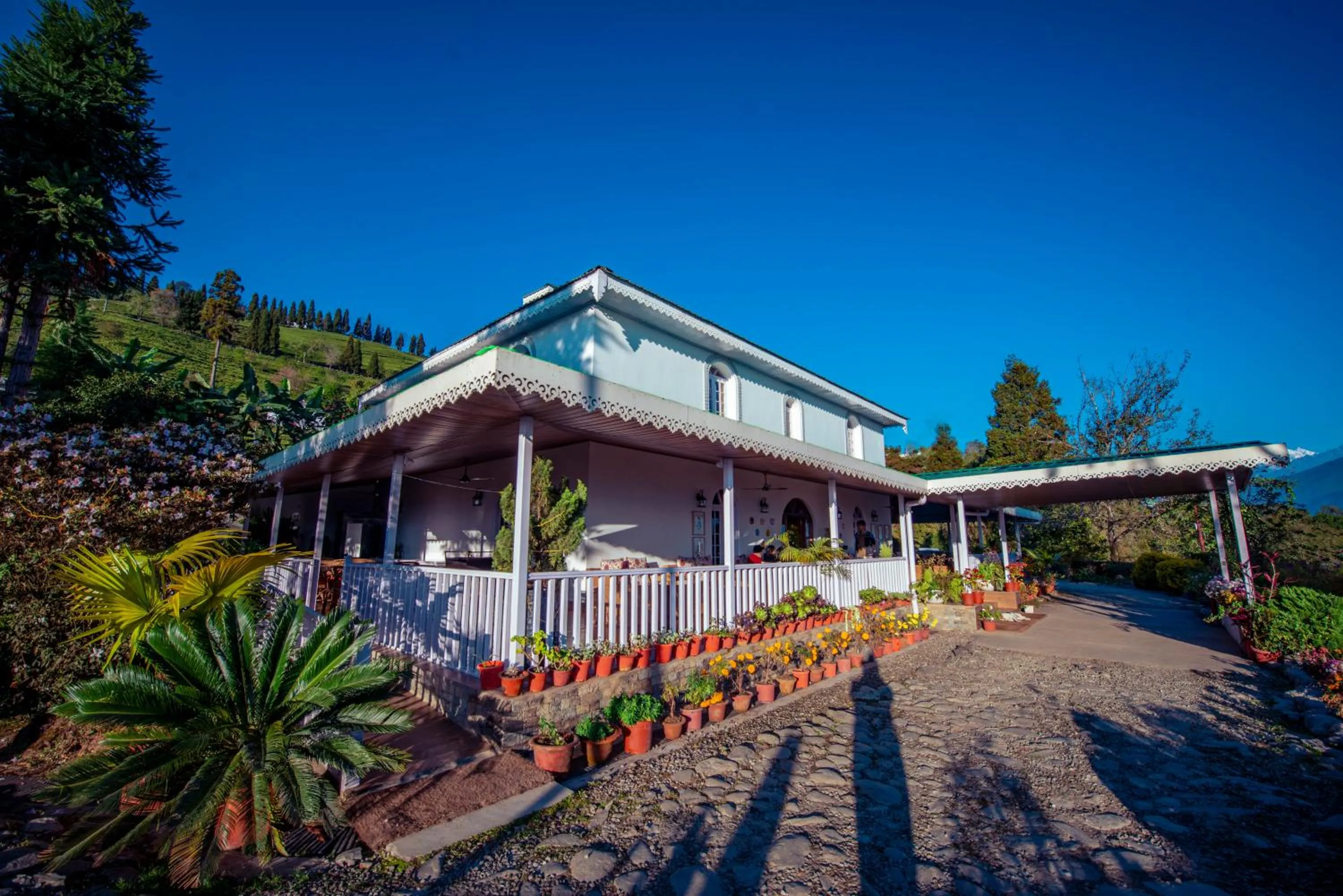 Property building in The Temi Bungalow South Sikkim