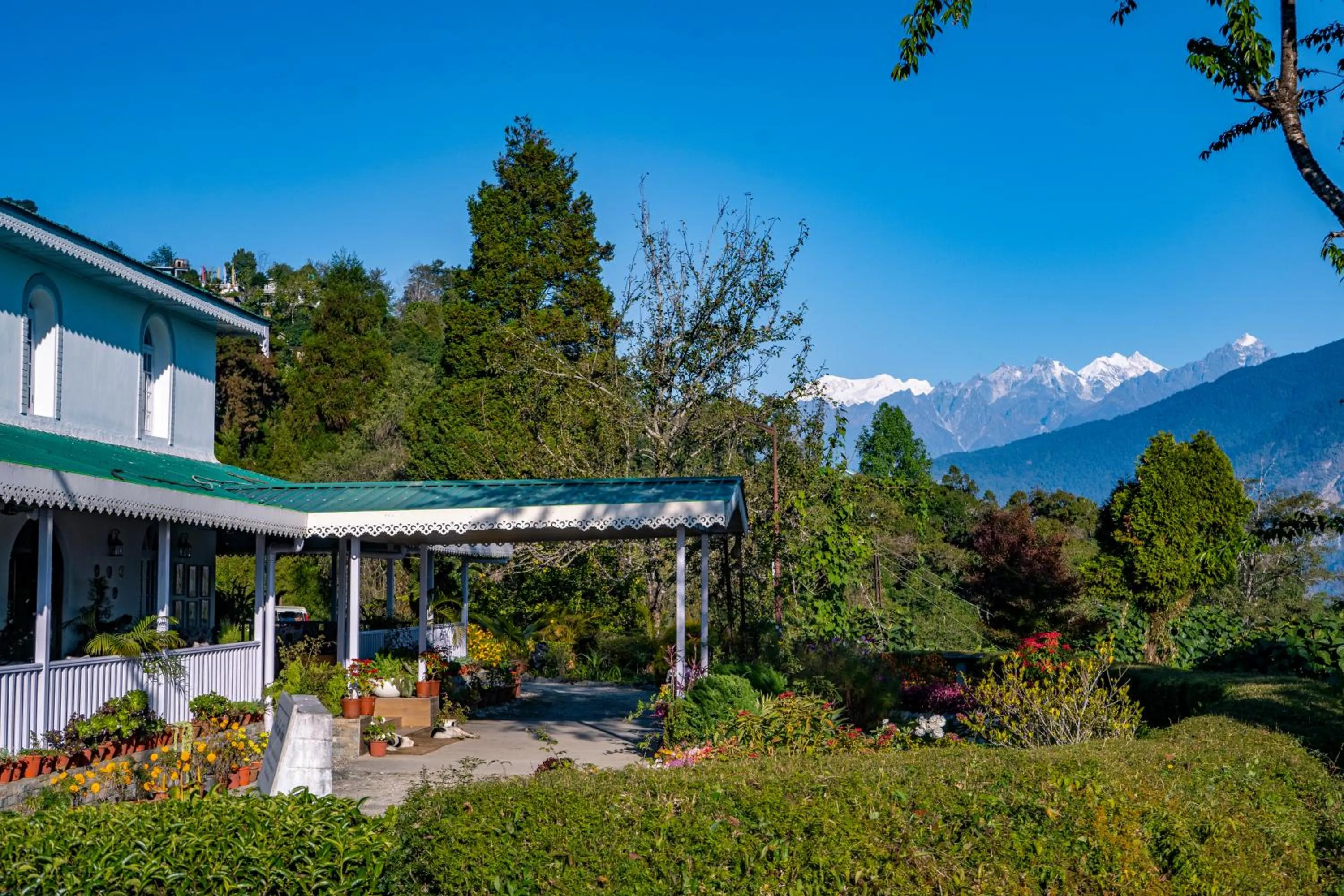 Natural landscape in The Temi Bungalow South Sikkim