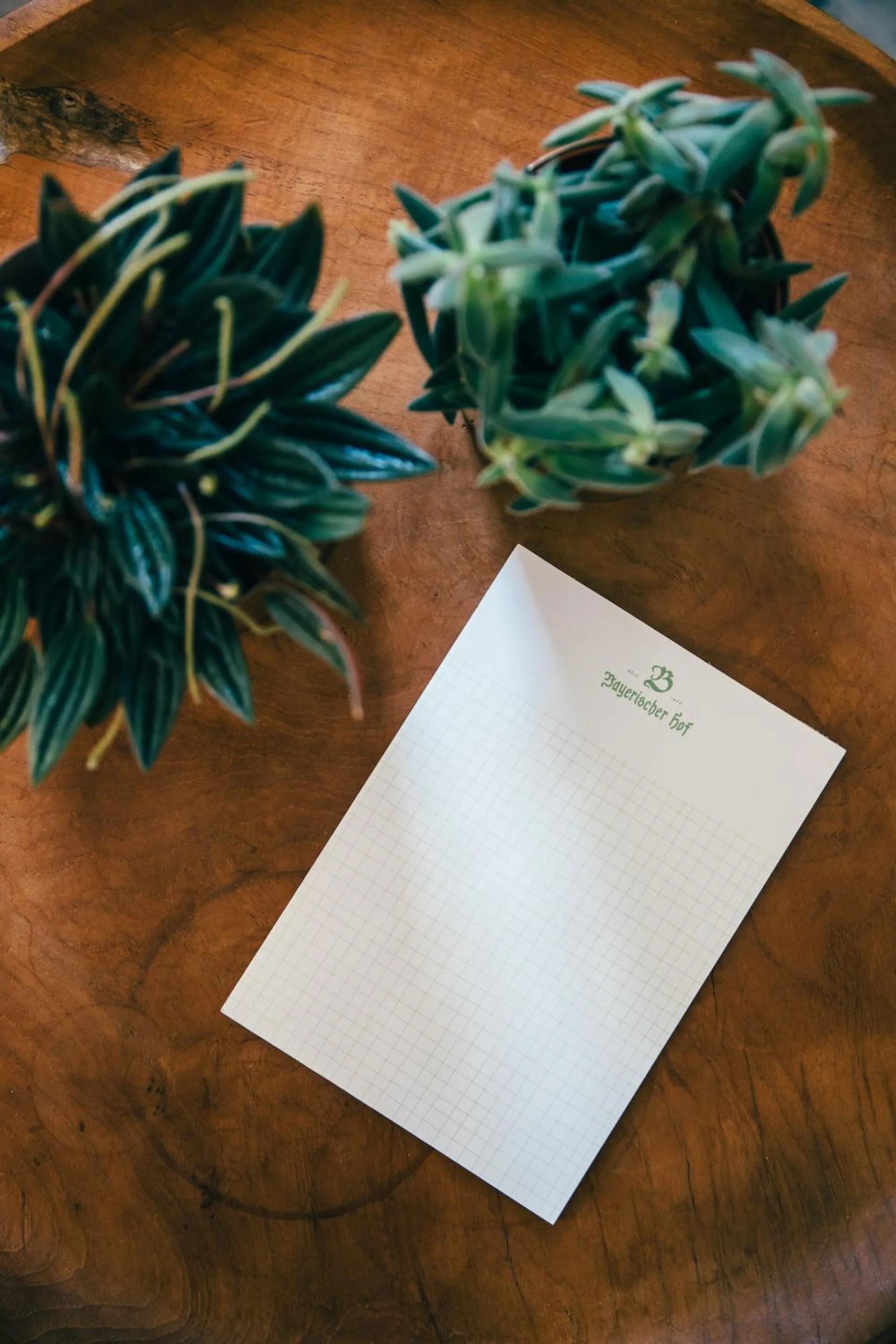 Decorative detail in Boutique-Hotel Bayerischer Hof