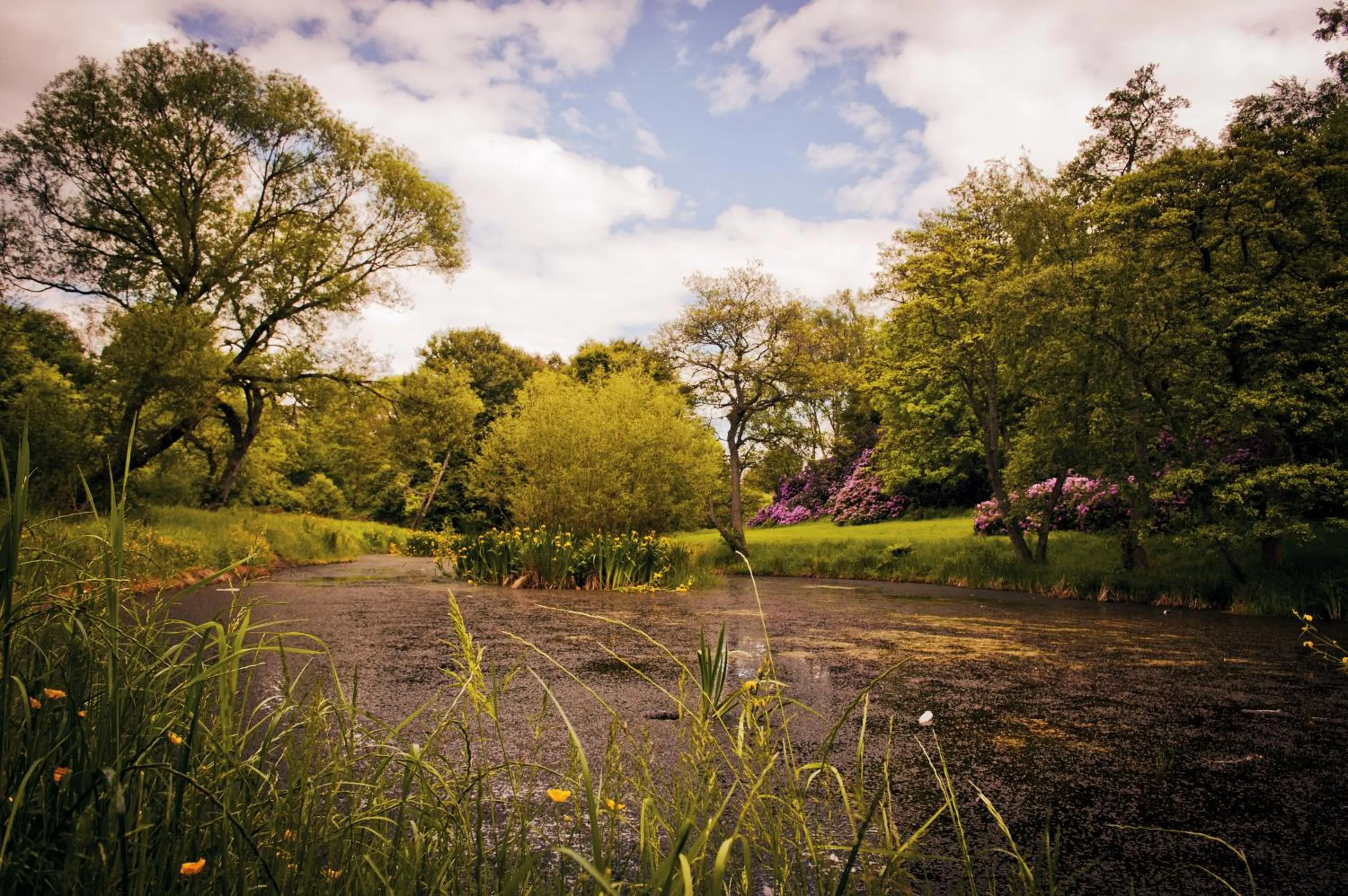 Natural landscape in Otterburn Castle