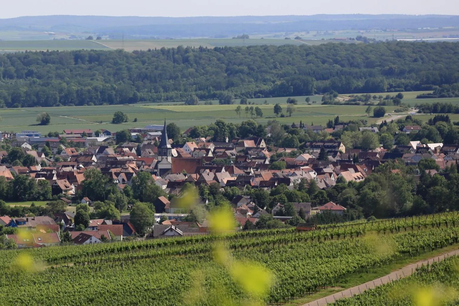 Neighbourhood in Landidyll Hotel Lamm