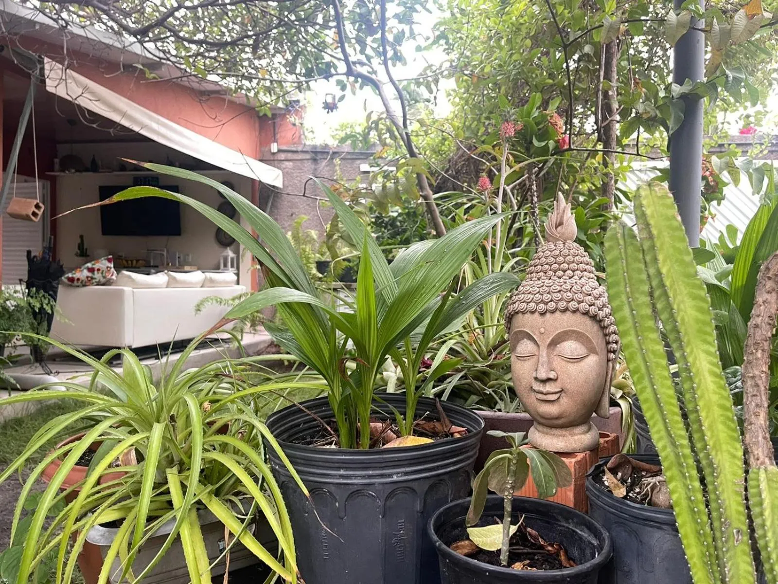 Garden in Chalé Murici Lençóis
