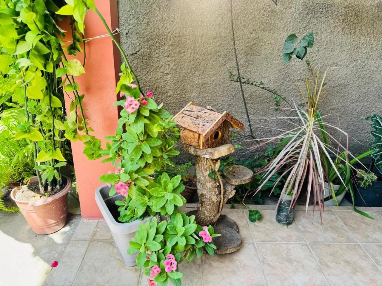 Property building in Chalé Murici Lençóis