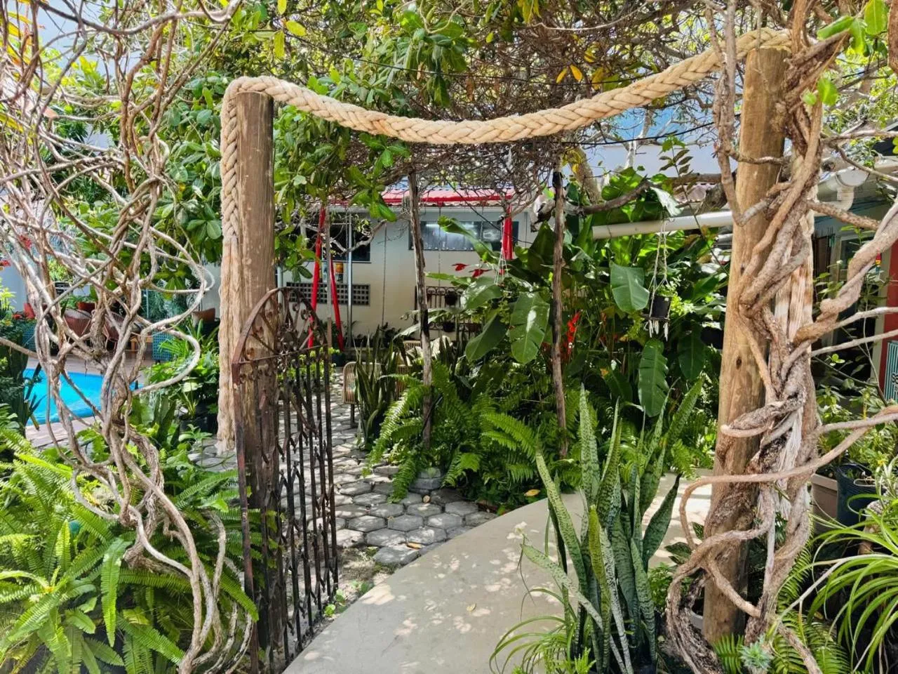 Garden in Chalé Murici Lençóis