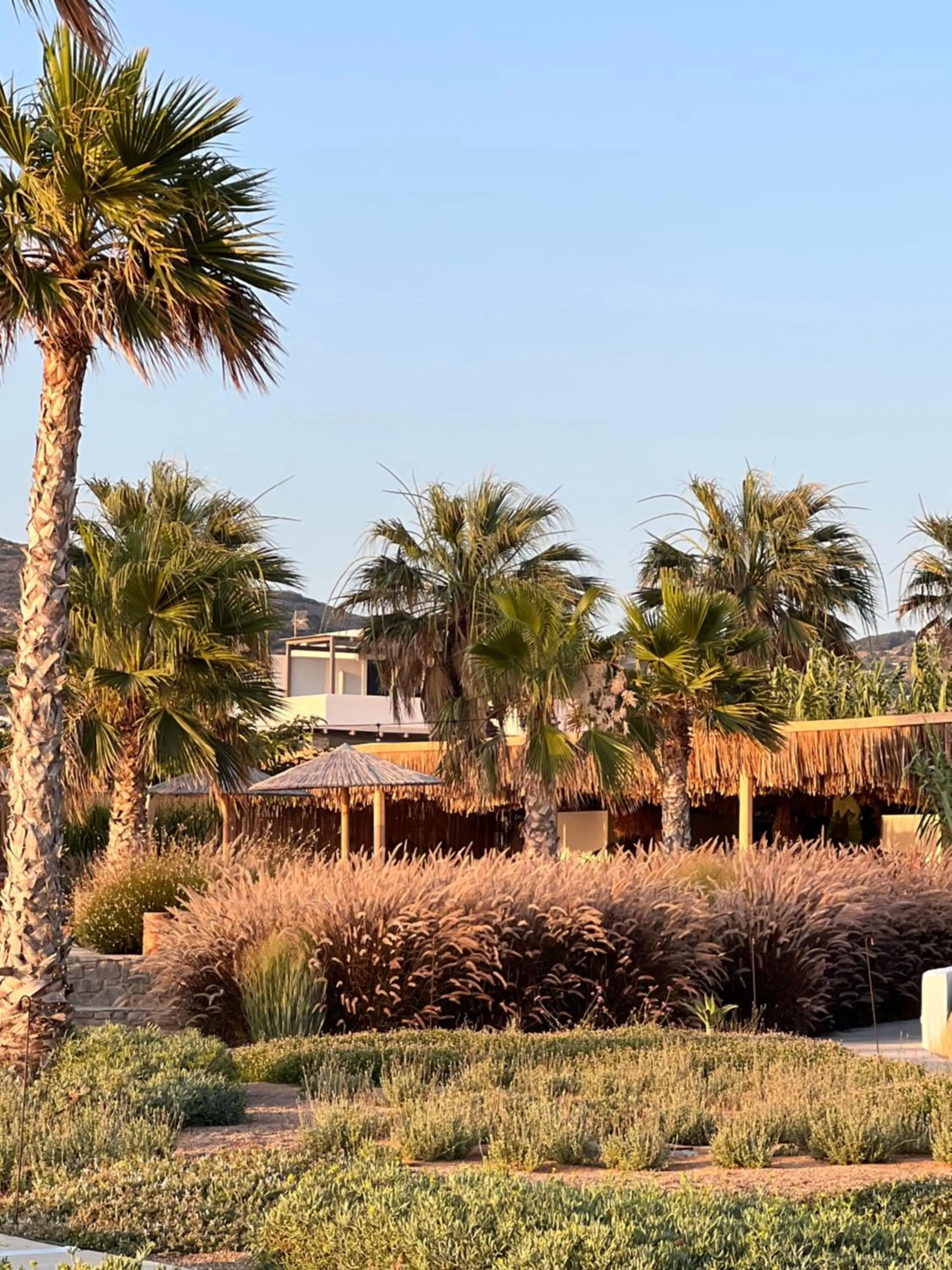 Garden in Seesoo Paros Beachfront Resort