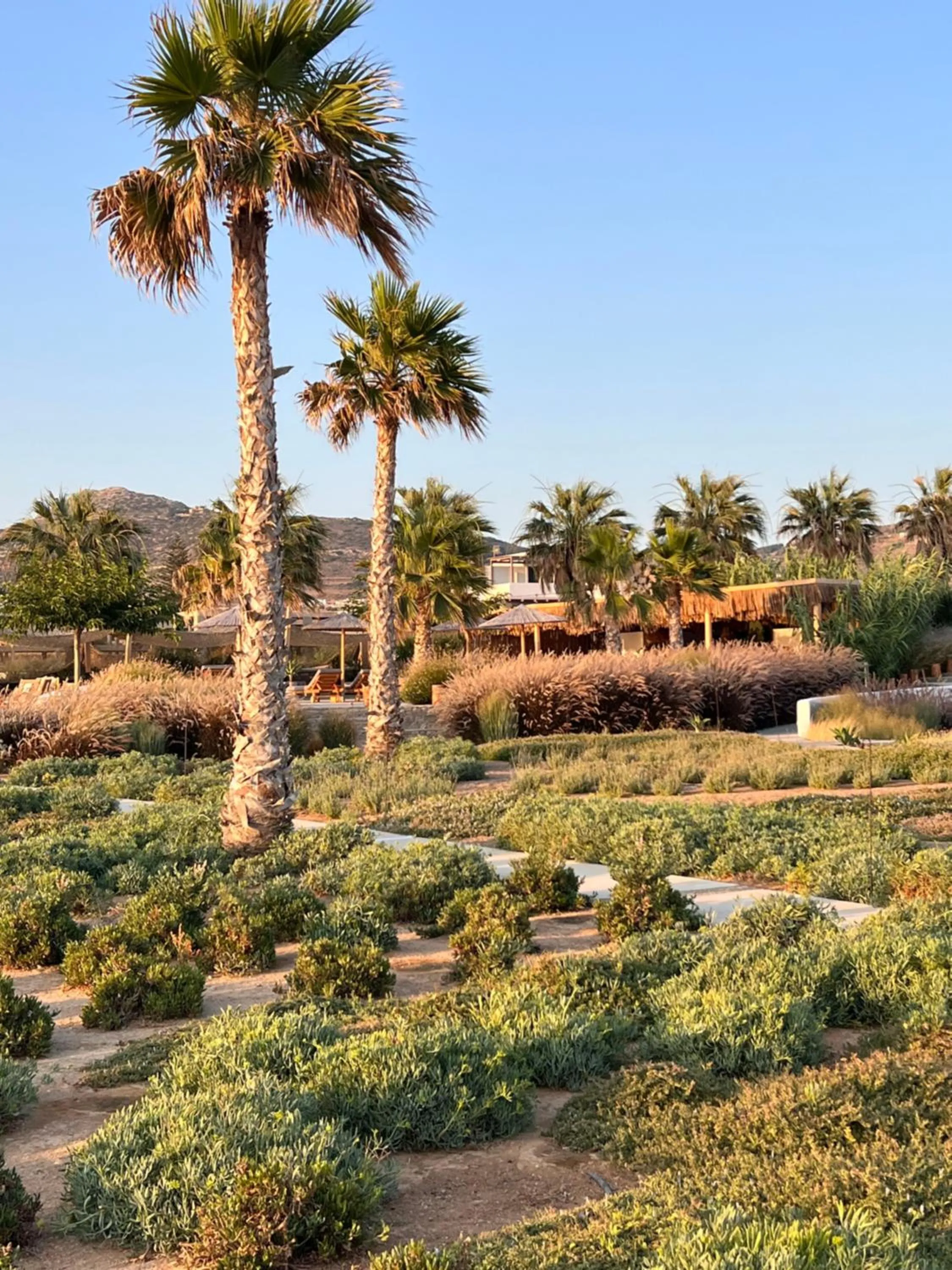 Garden view in Seesoo Paros Beachfront Resort