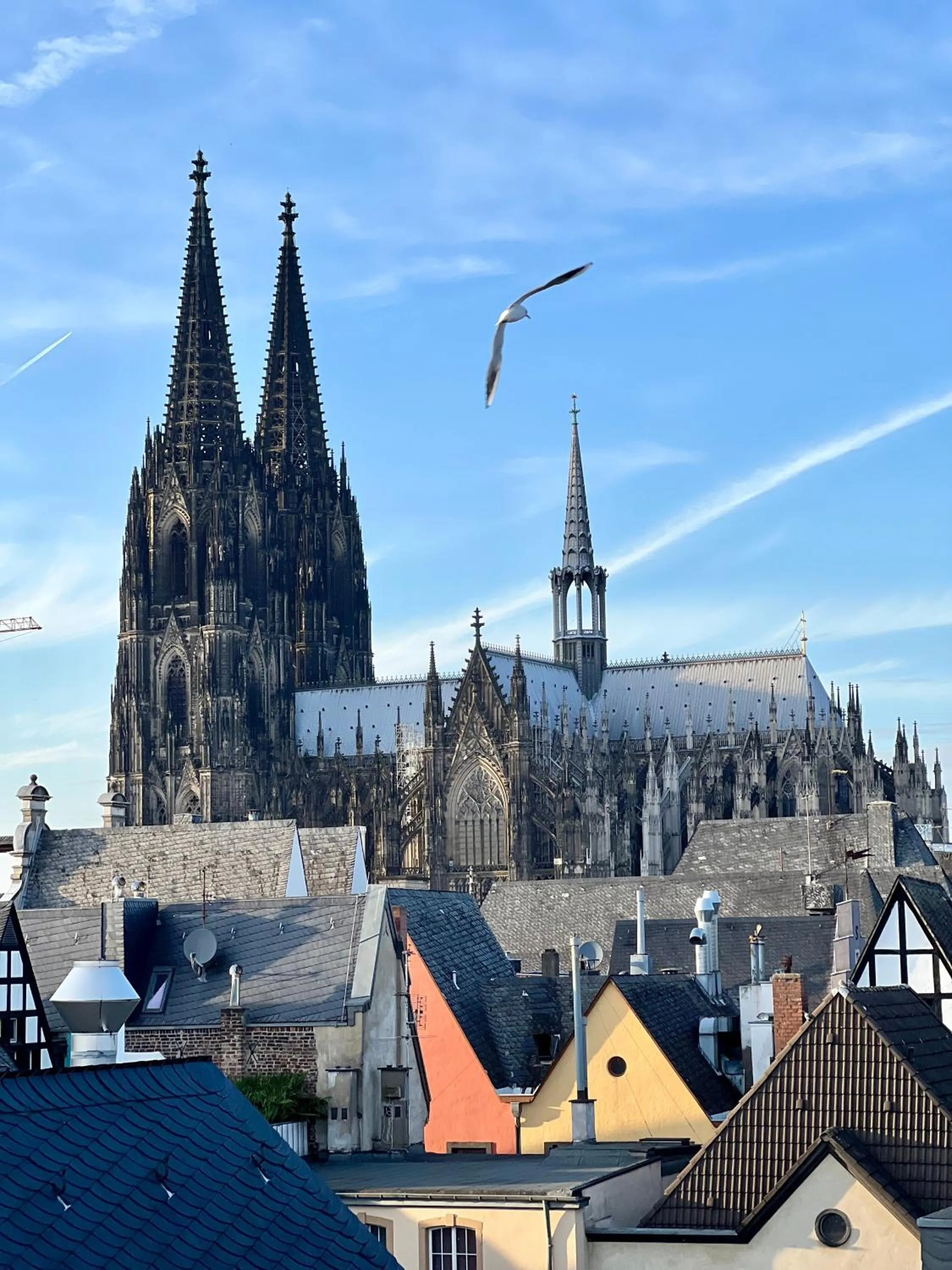 Day in Altstadthotel Hayk am Rhein