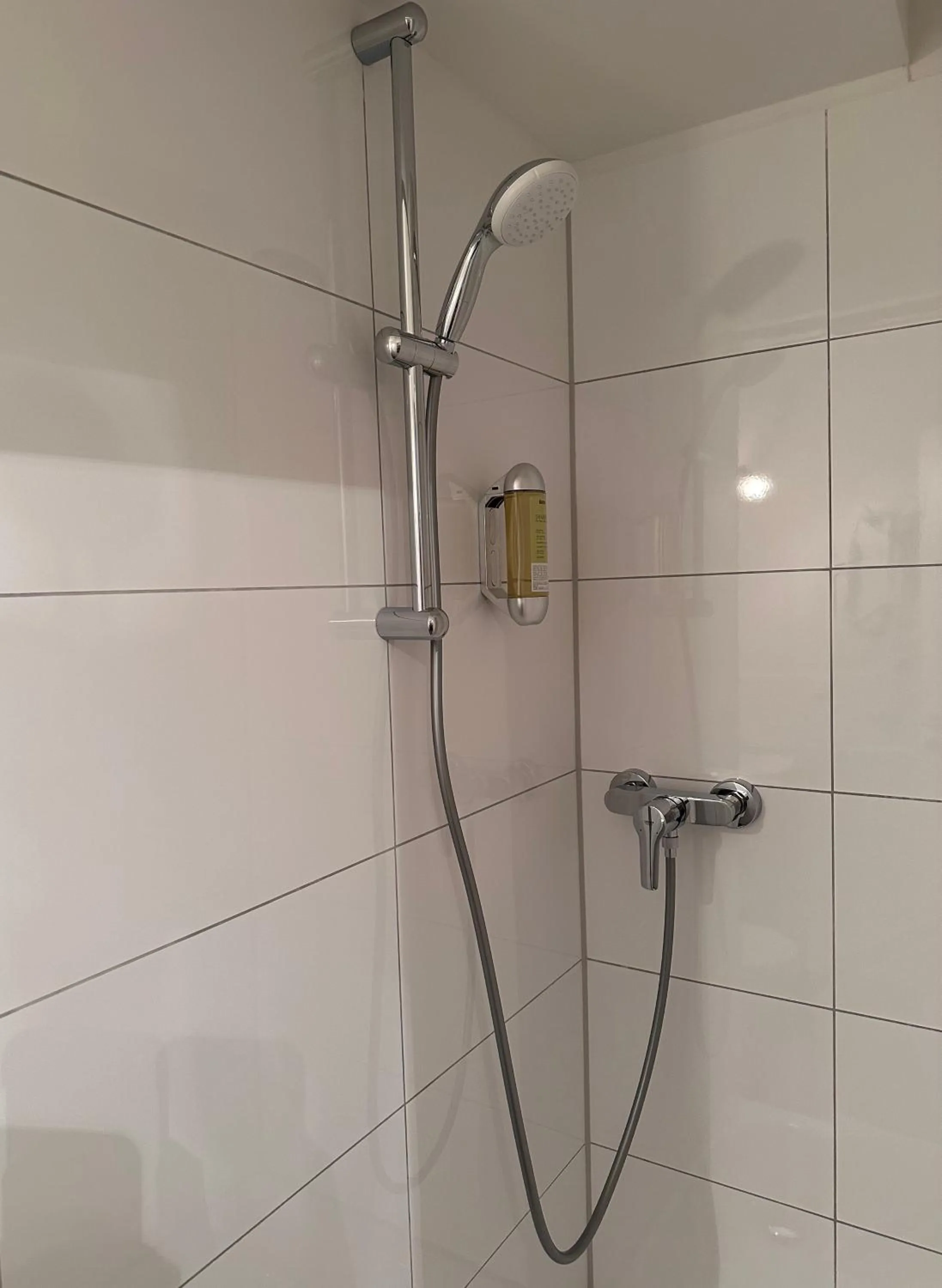 Shower in Altstadthotel Hayk am Rhein