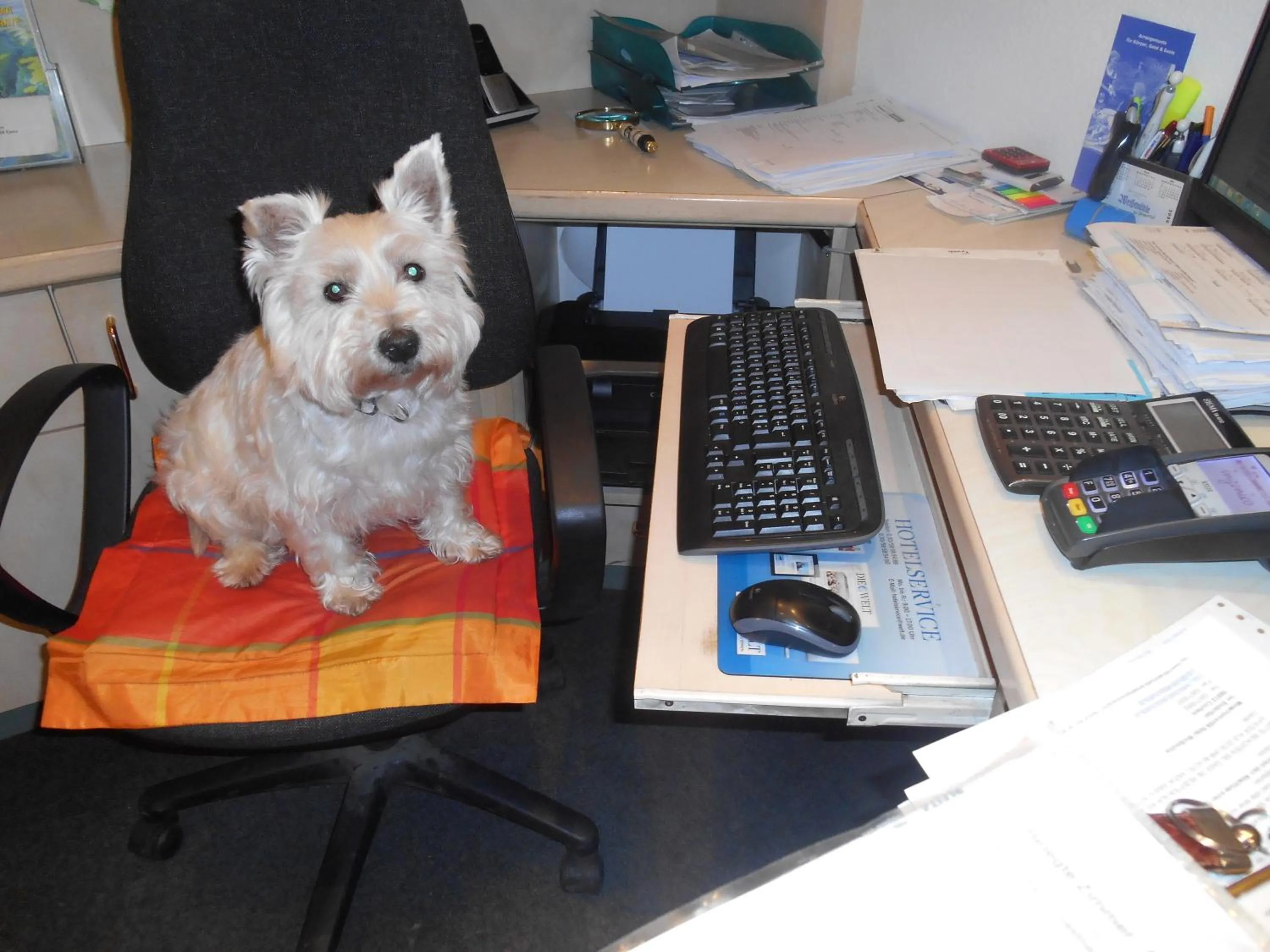 Pets in Moselromantik Hotel Weissmühle