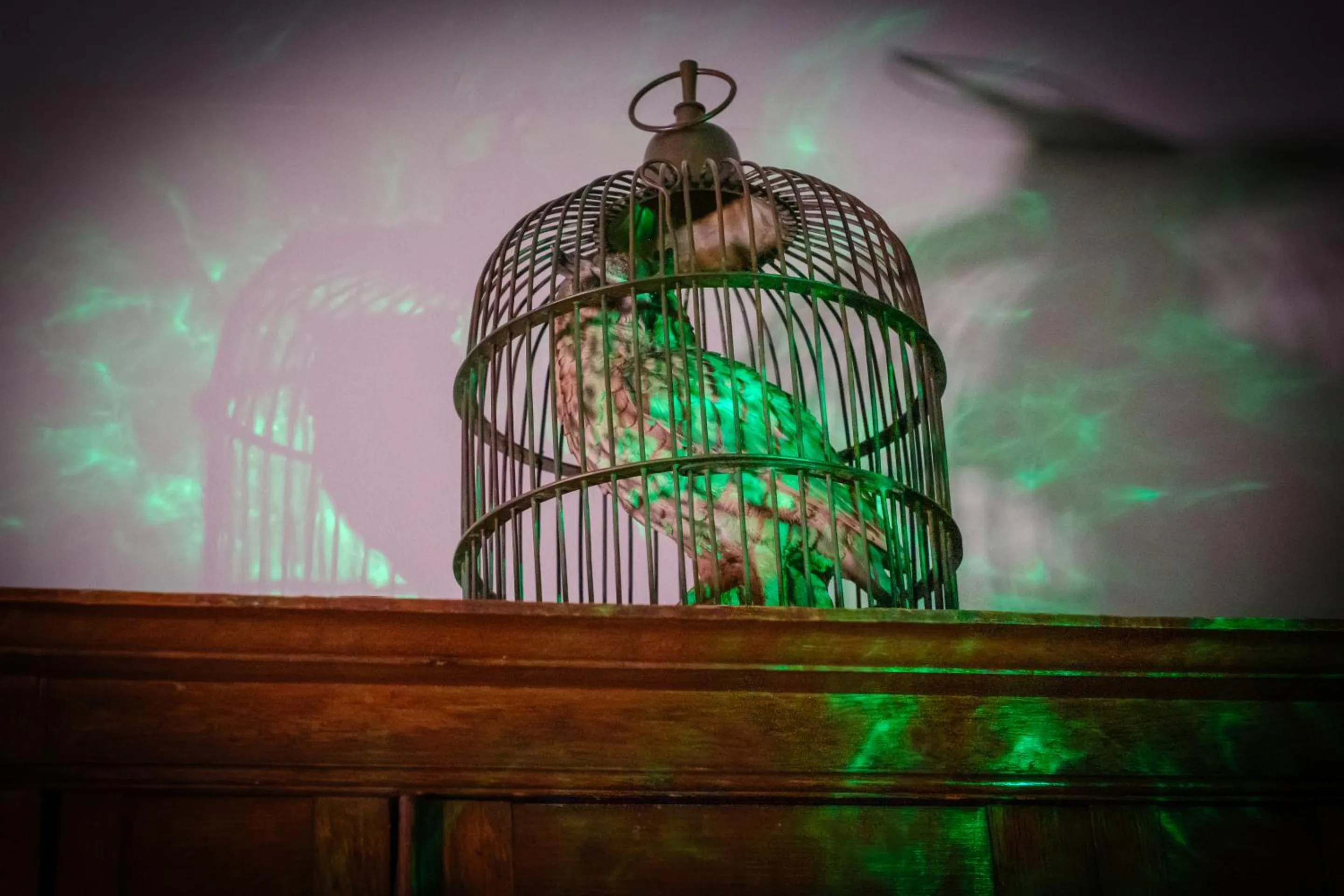 Other in Ricky Road Guest House