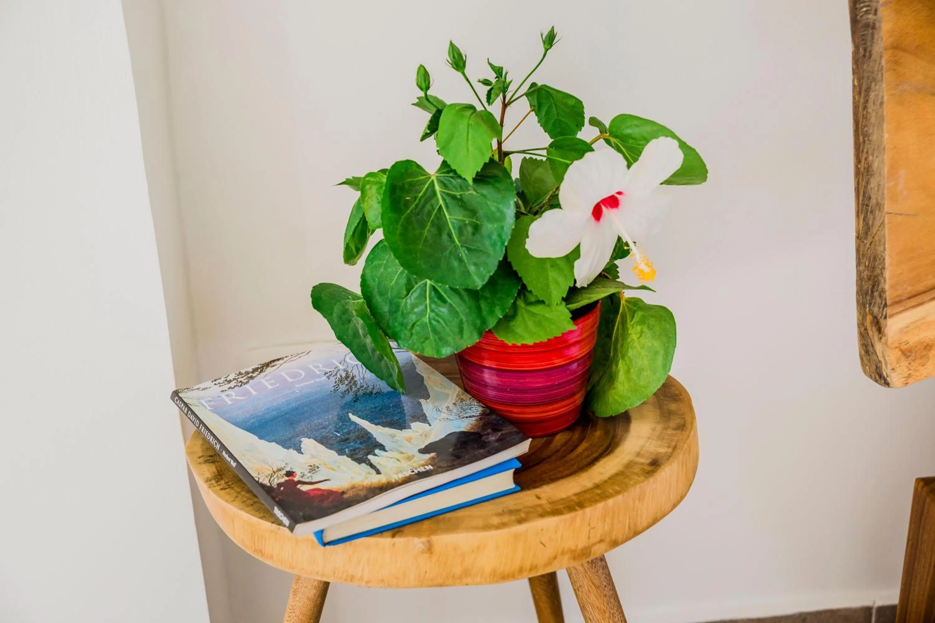 Hotel Restaurante Selva Negra