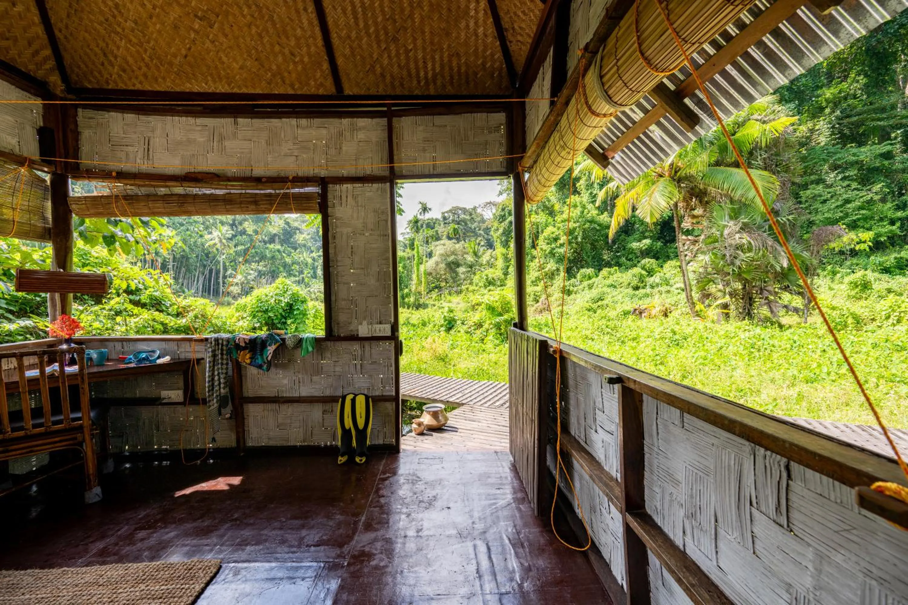 The Forest Elephant - Formerly known as the Flying Elephant