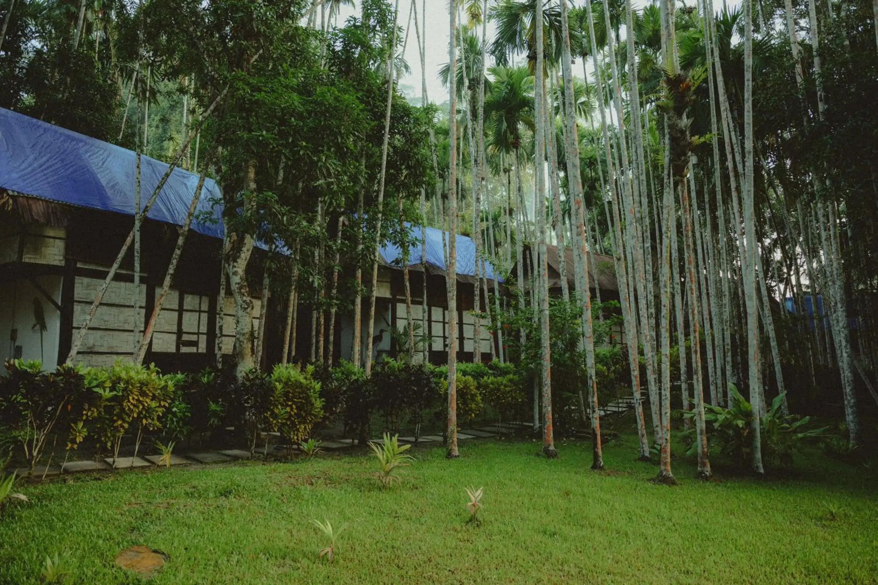 Double Room with Garden View in The Forest Elephant - Formerly known as the Flying Elephant Double Room with Garden View in The Forest Elephant - Formerly known as the Flying Elephant