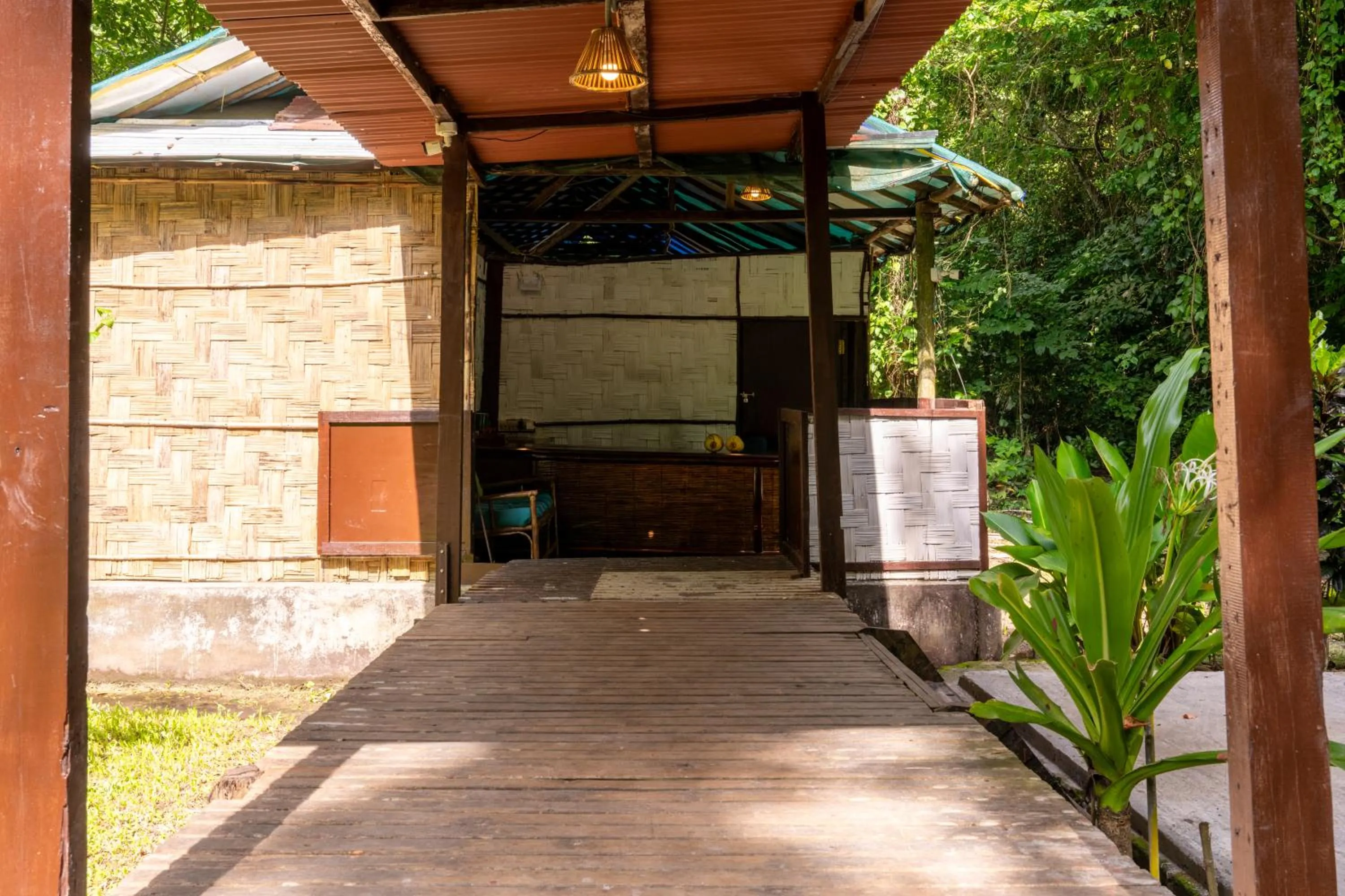 The Forest Elephant - Formerly known as the Flying Elephant