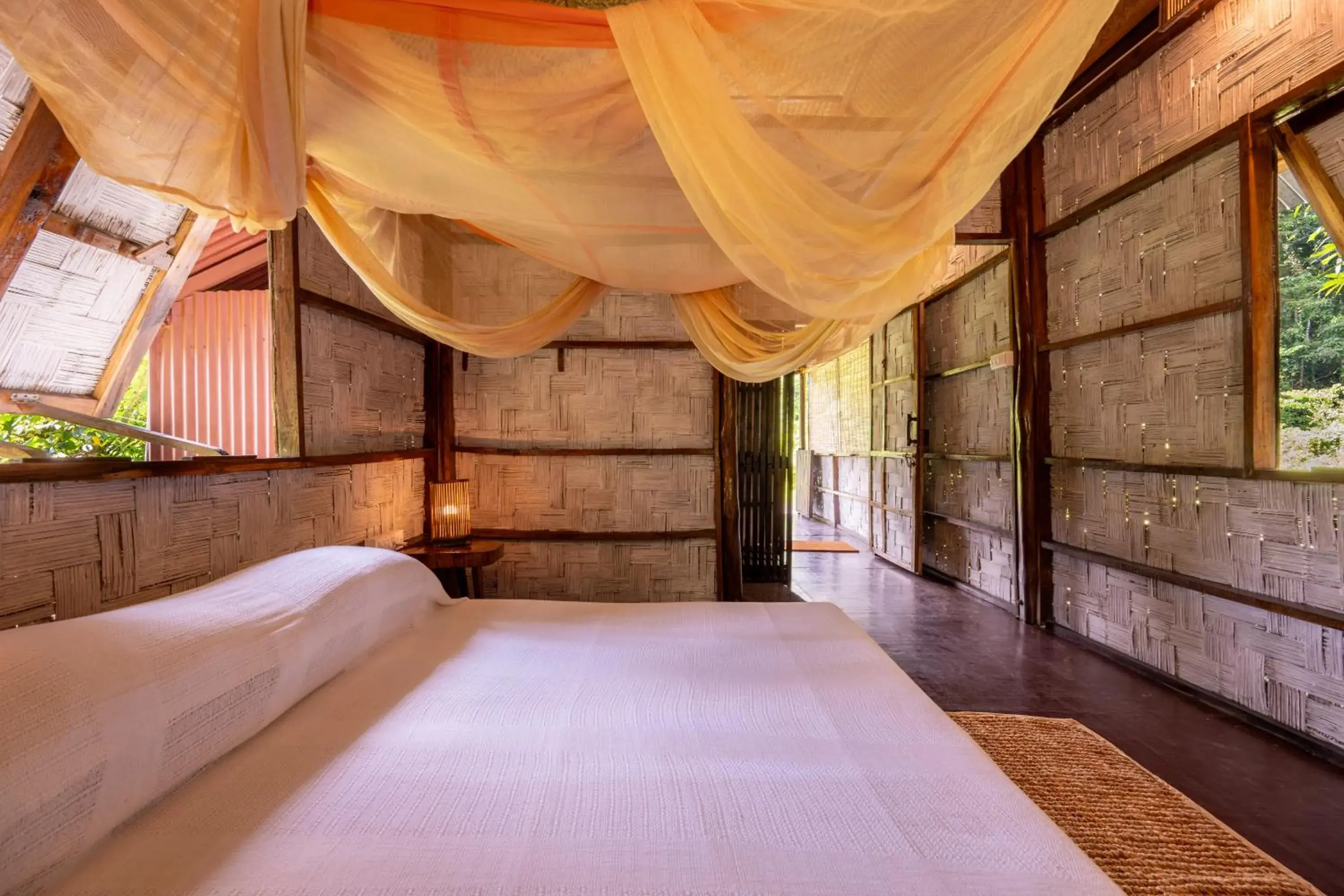 Standard Double Room - single occupancy in The Forest Elephant - Formerly known as the Flying Elephant Standard Double Room - single occupancy in The Forest Elephant - Formerly known as the Flying Elephant