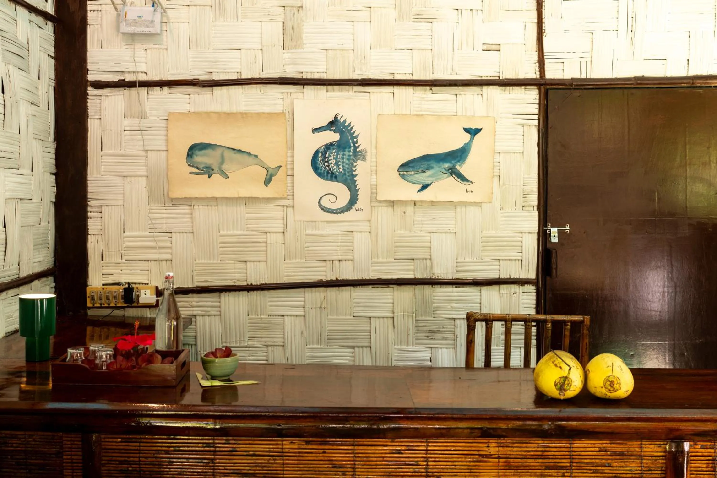 The Forest Elephant - Formerly known as the Flying Elephant