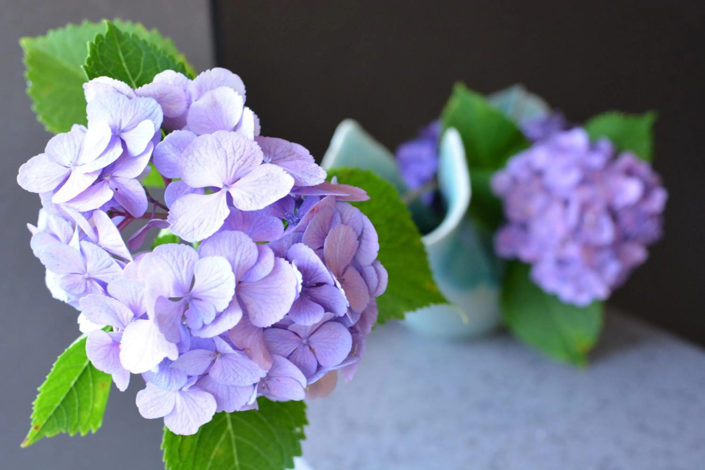 Decorative detail in Shirahama no Yado Daigo