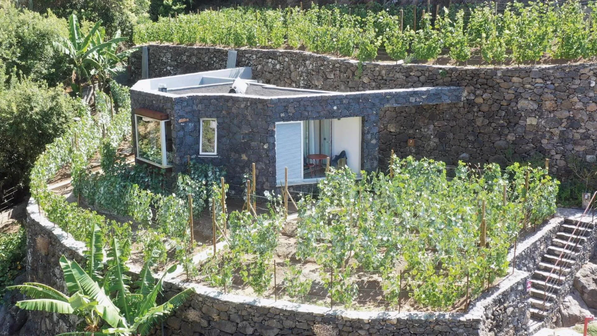 Socalco Nature Calheta