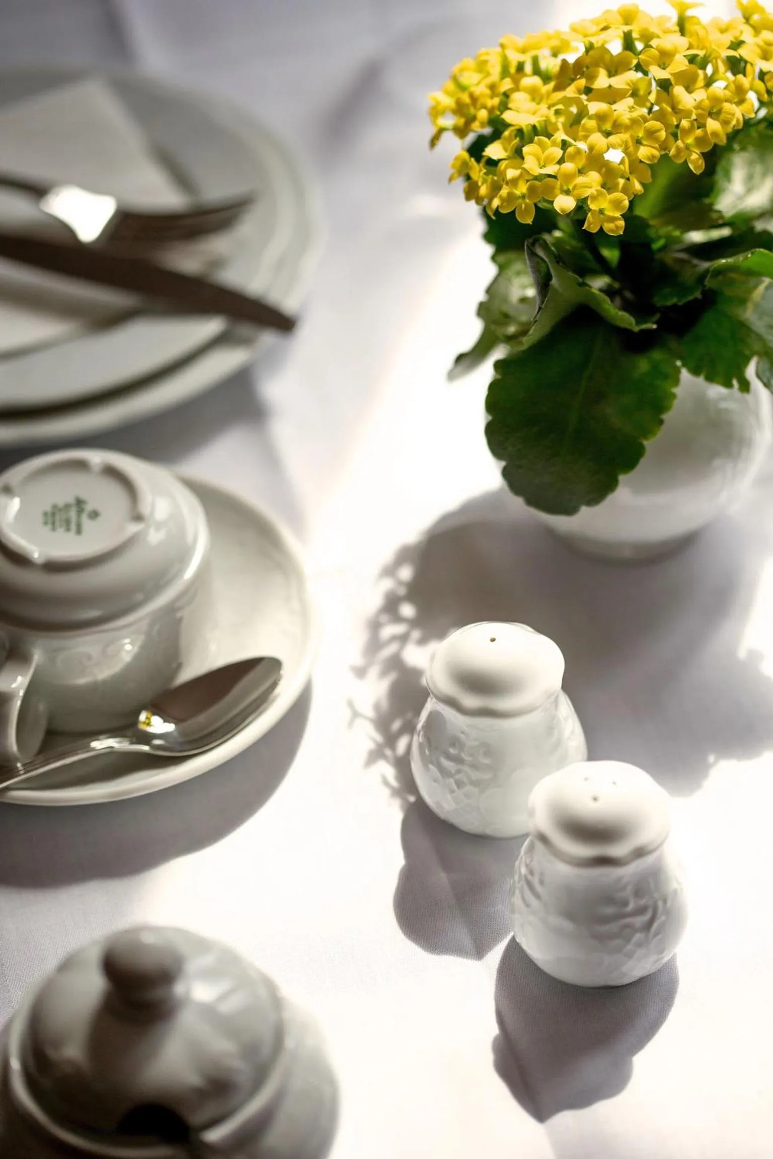 Restaurant/places to eat in Hotel Villa Königsgarten