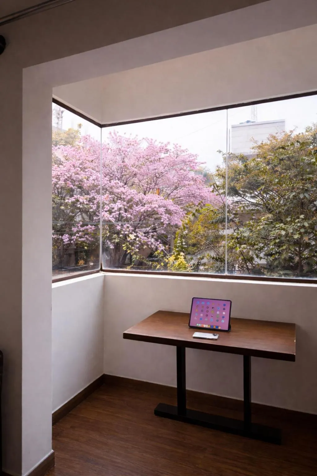 View (from property/room) in Coffee Bean Inn