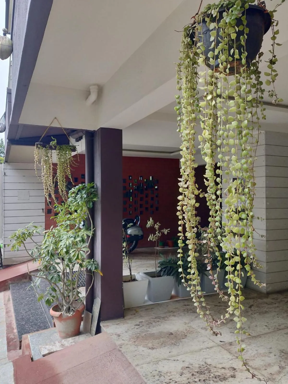 Facade/entrance in Hotel Coffee Bean