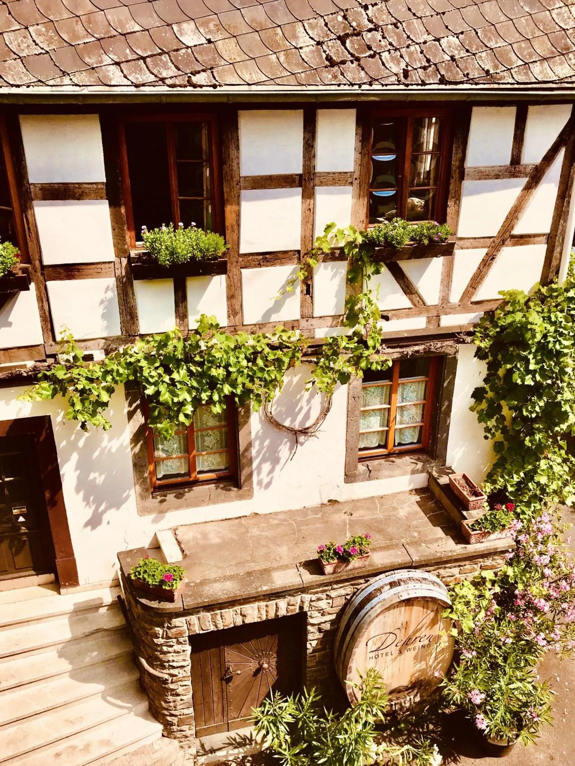 Property building in Hotel Weingut Dehren