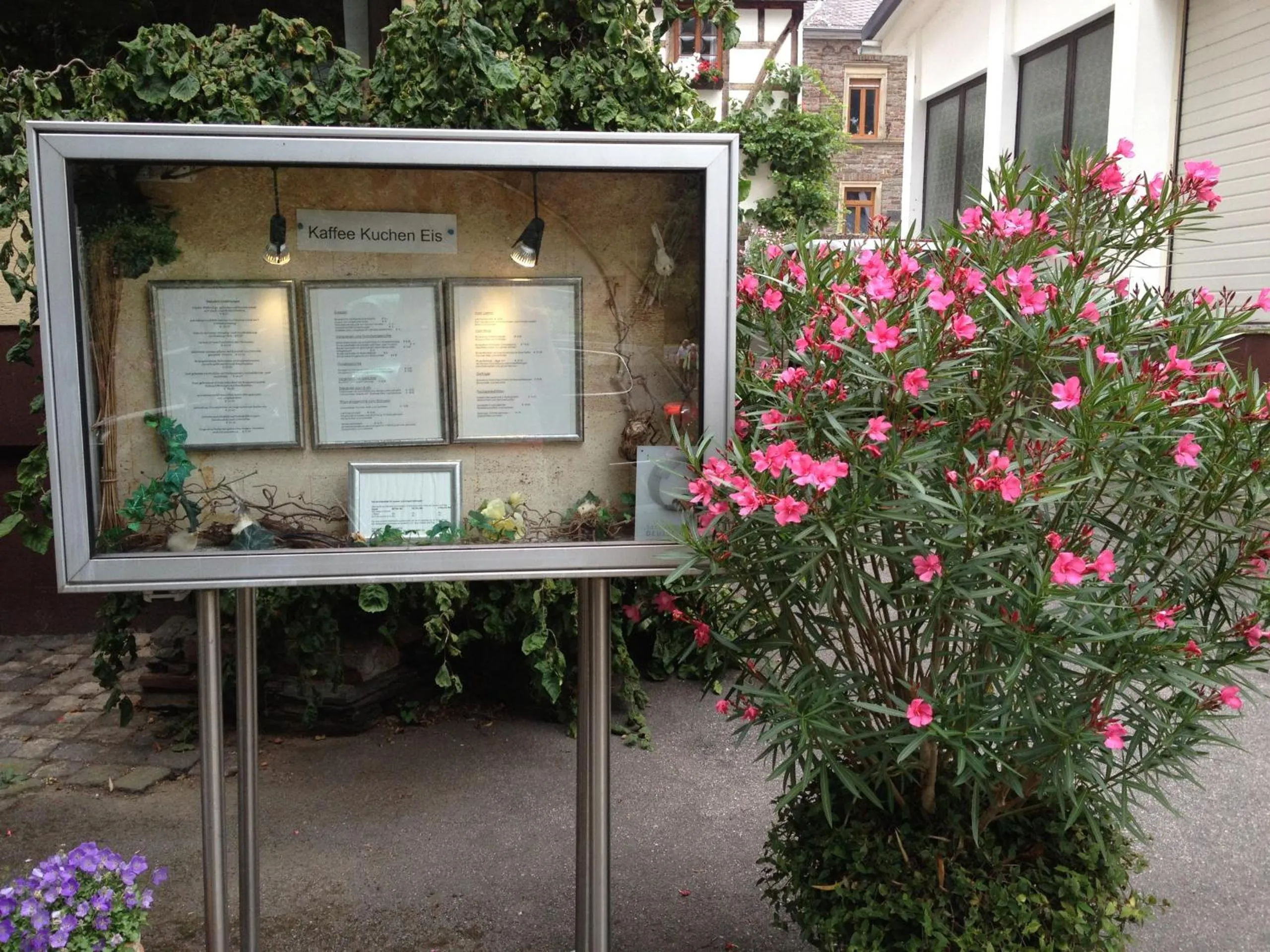 Property building in Hotel Weingut Dehren