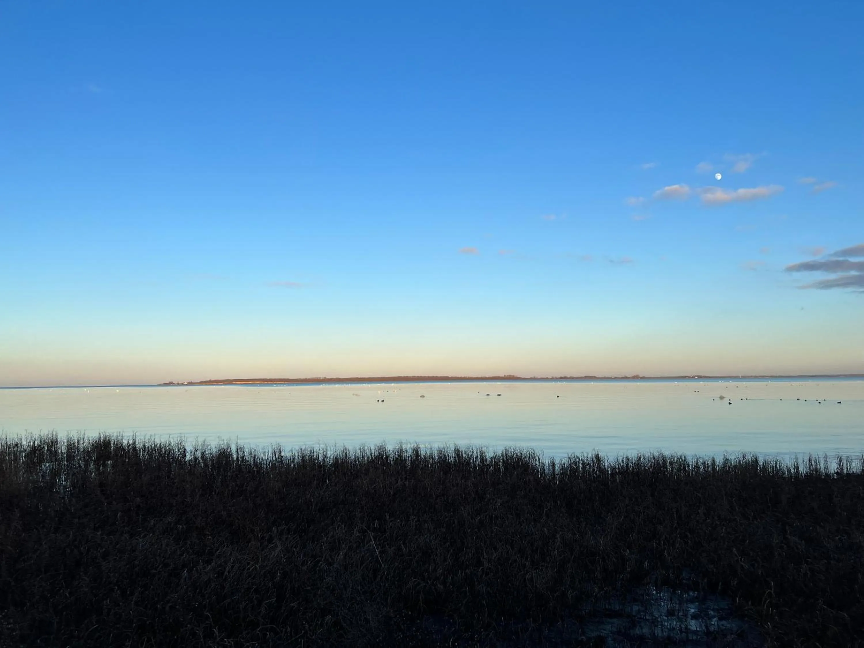 Off site in Reet und Meer Beckerwitz