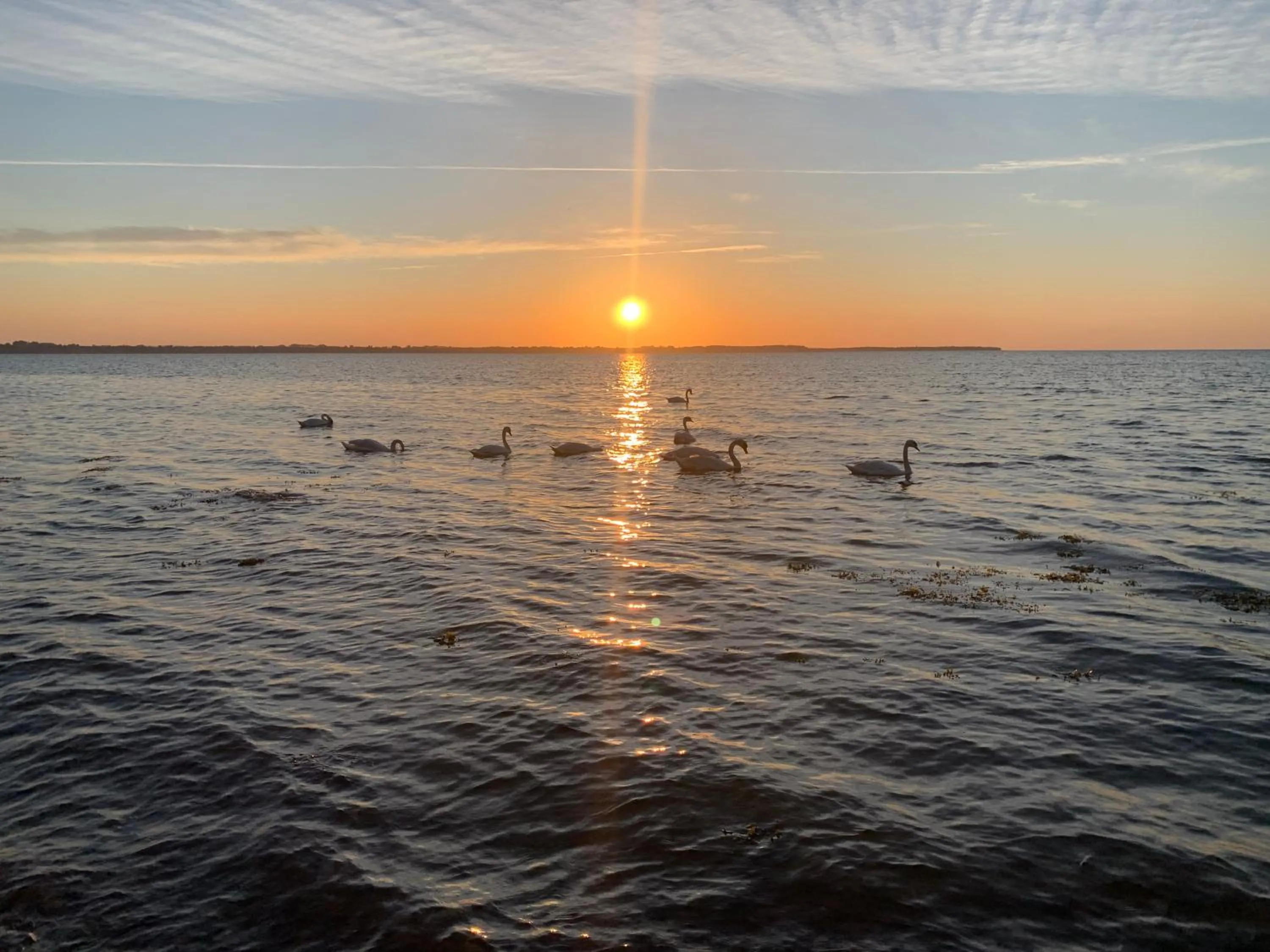 Off site in Reet und Meer Beckerwitz