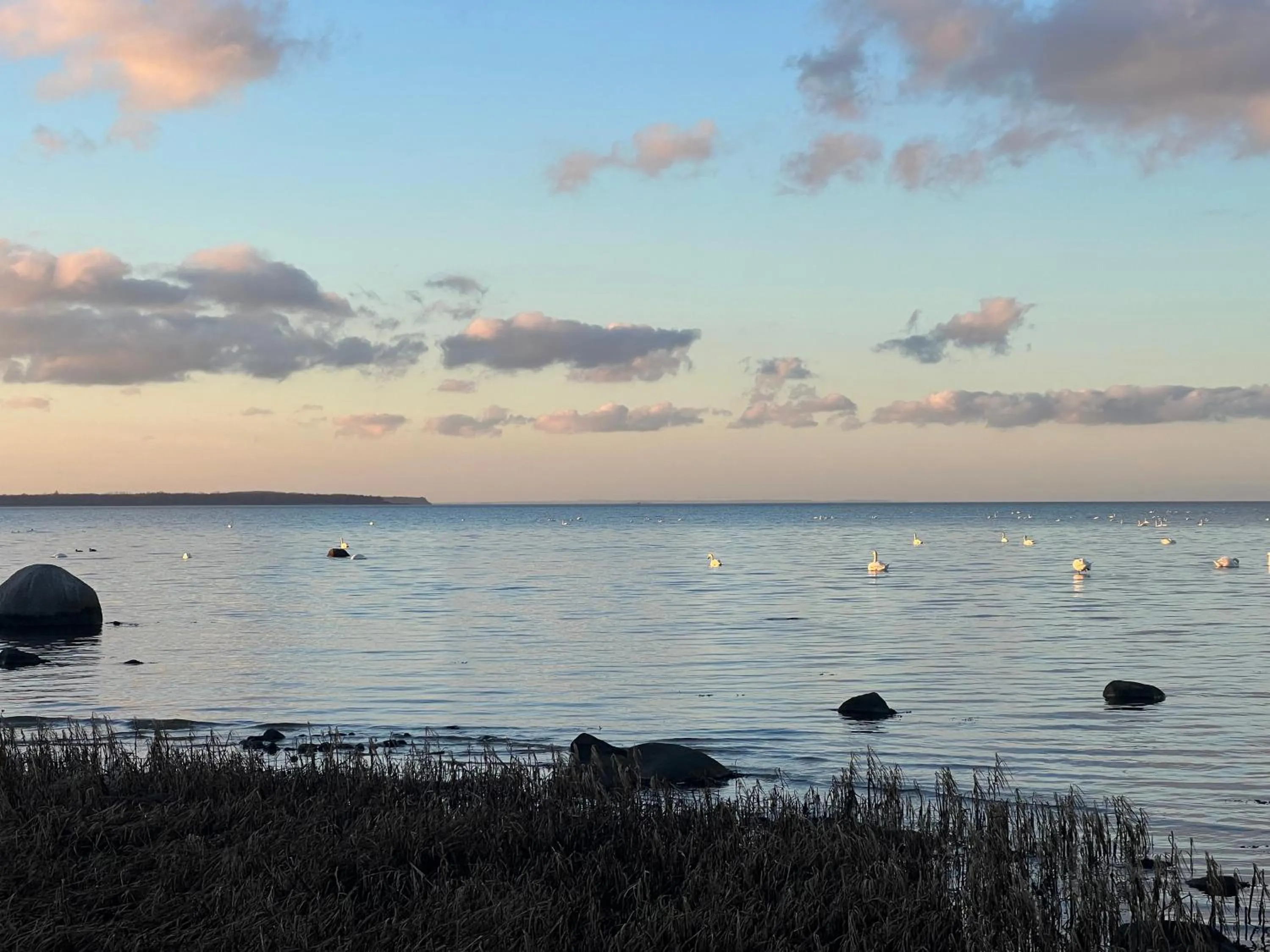 Off site in Reet und Meer Beckerwitz