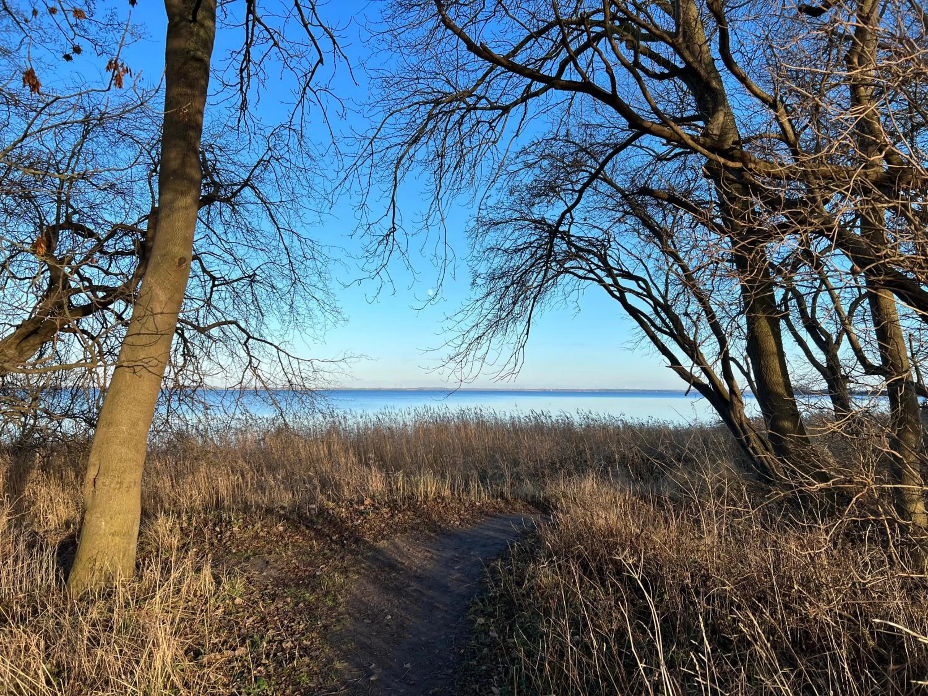 Off site in Reet und Meer Beckerwitz