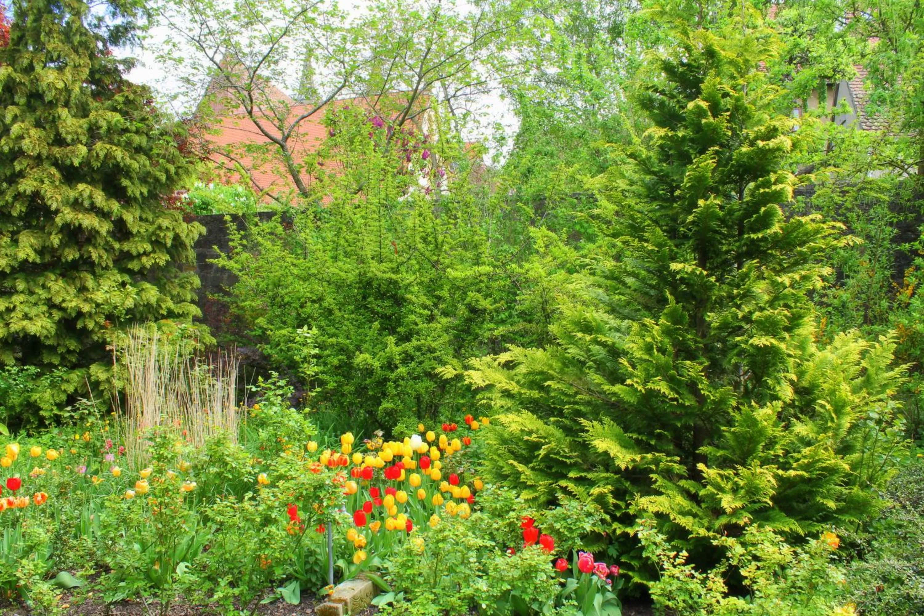 Garden view in Hotel BurgGartenpalais