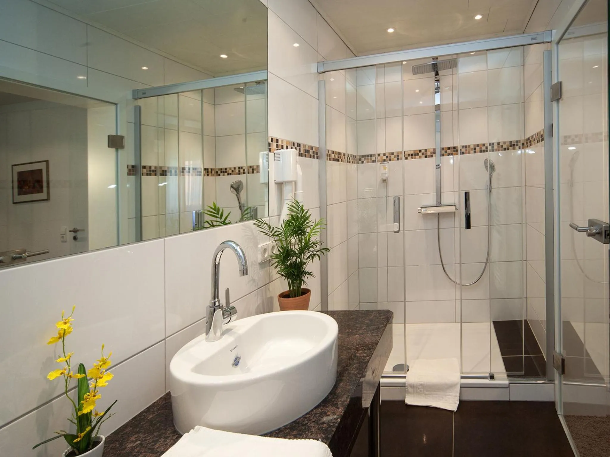 Bathroom in Hotel Engel