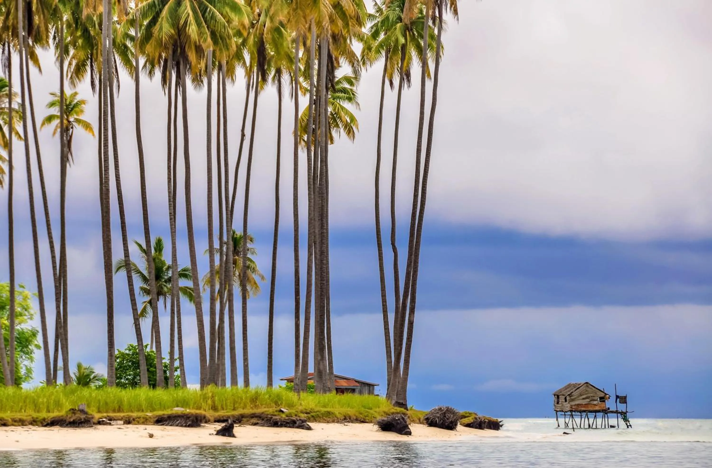 Natural landscape in Holiday Inn Express Kota Kinabalu City Centre by IHG