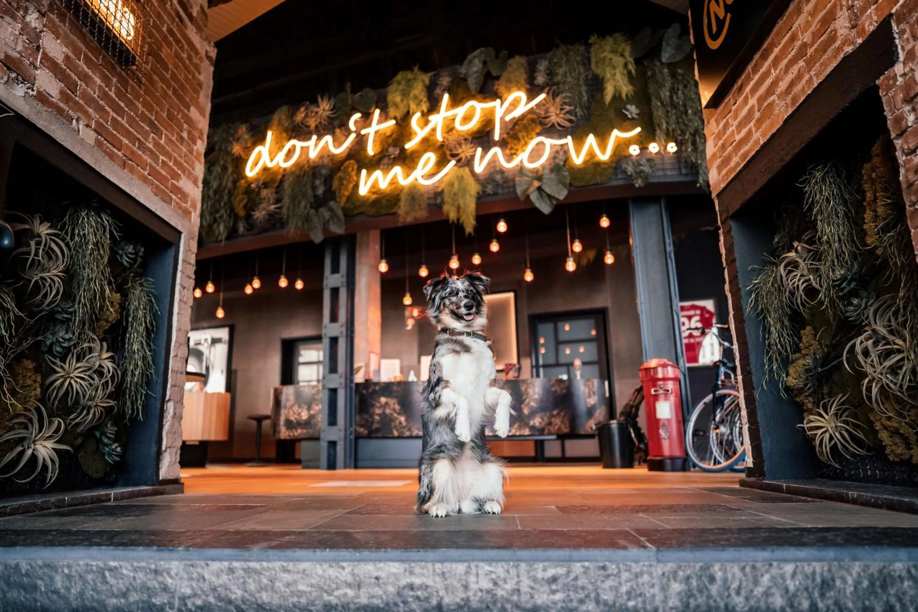 Lobby or reception in Me and All Hotel Hanover, by Hyatt