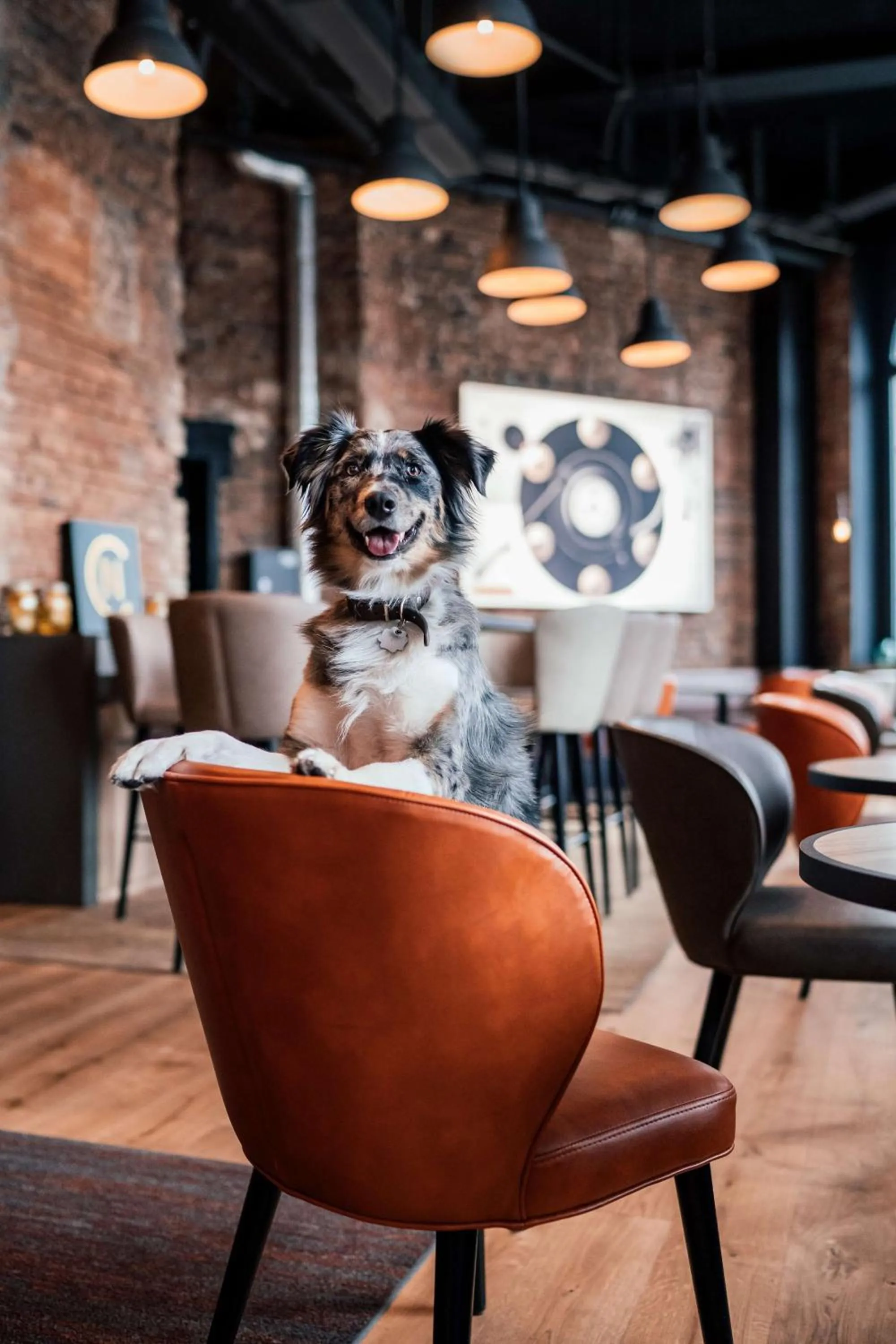 Lounge or bar in Me and All Hotel Hanover, by Hyatt