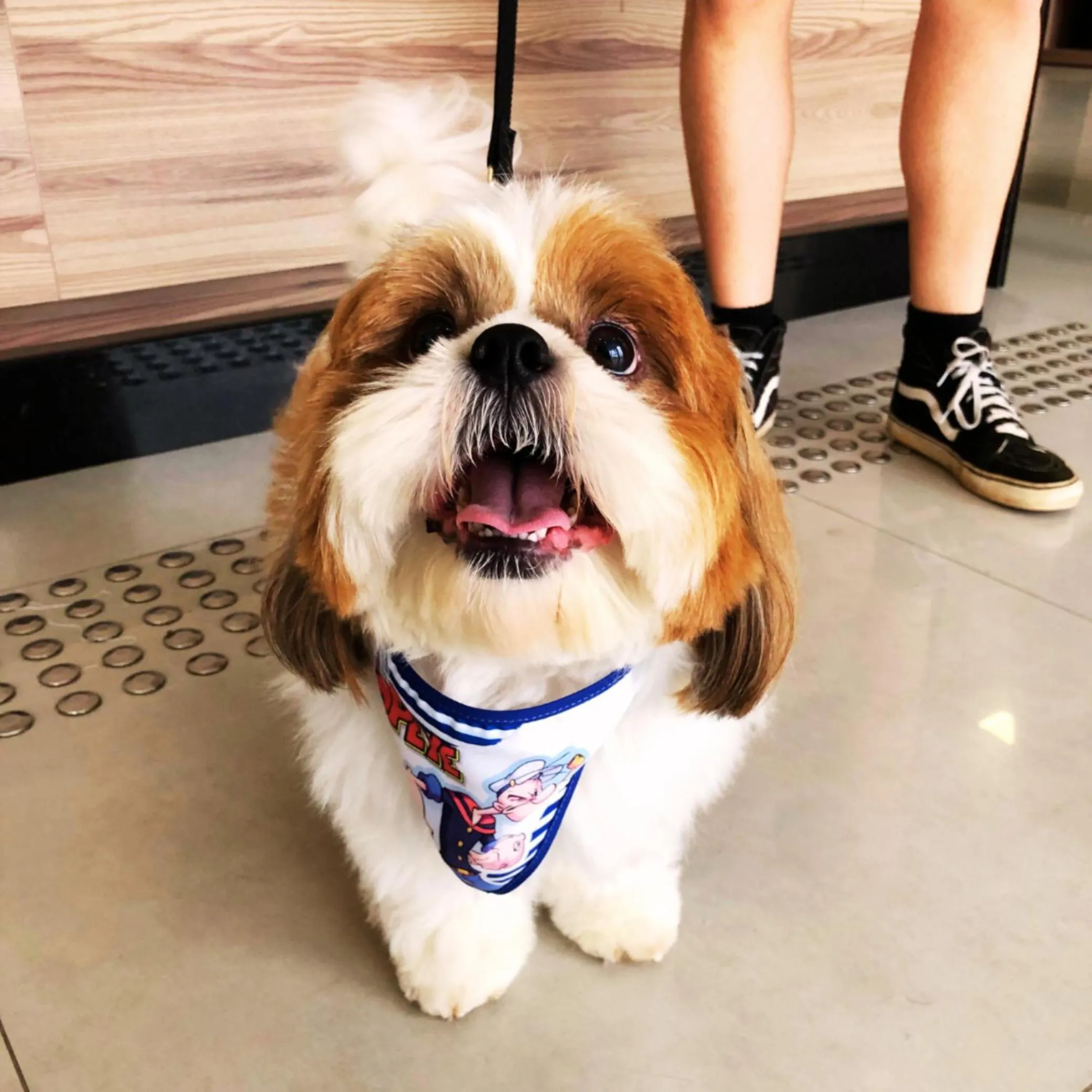 pet friendly in Sleep Inn Paulínia