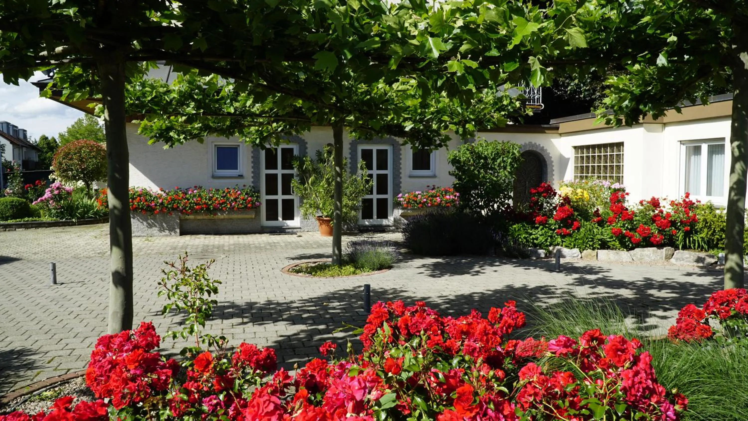 Balcony/Terrace in Hotel Anika