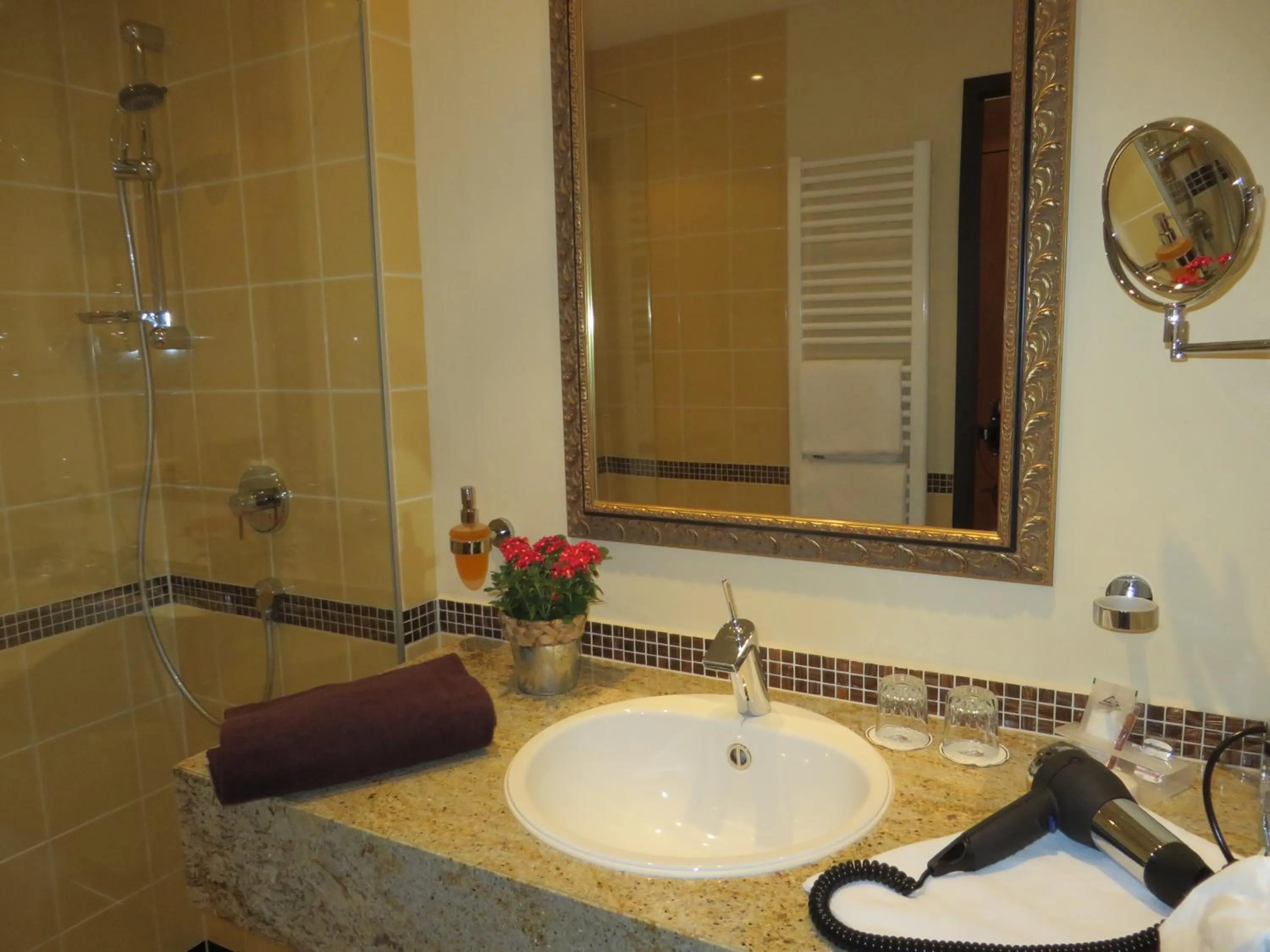 Photo of the whole room in Ringhotel Bundschu