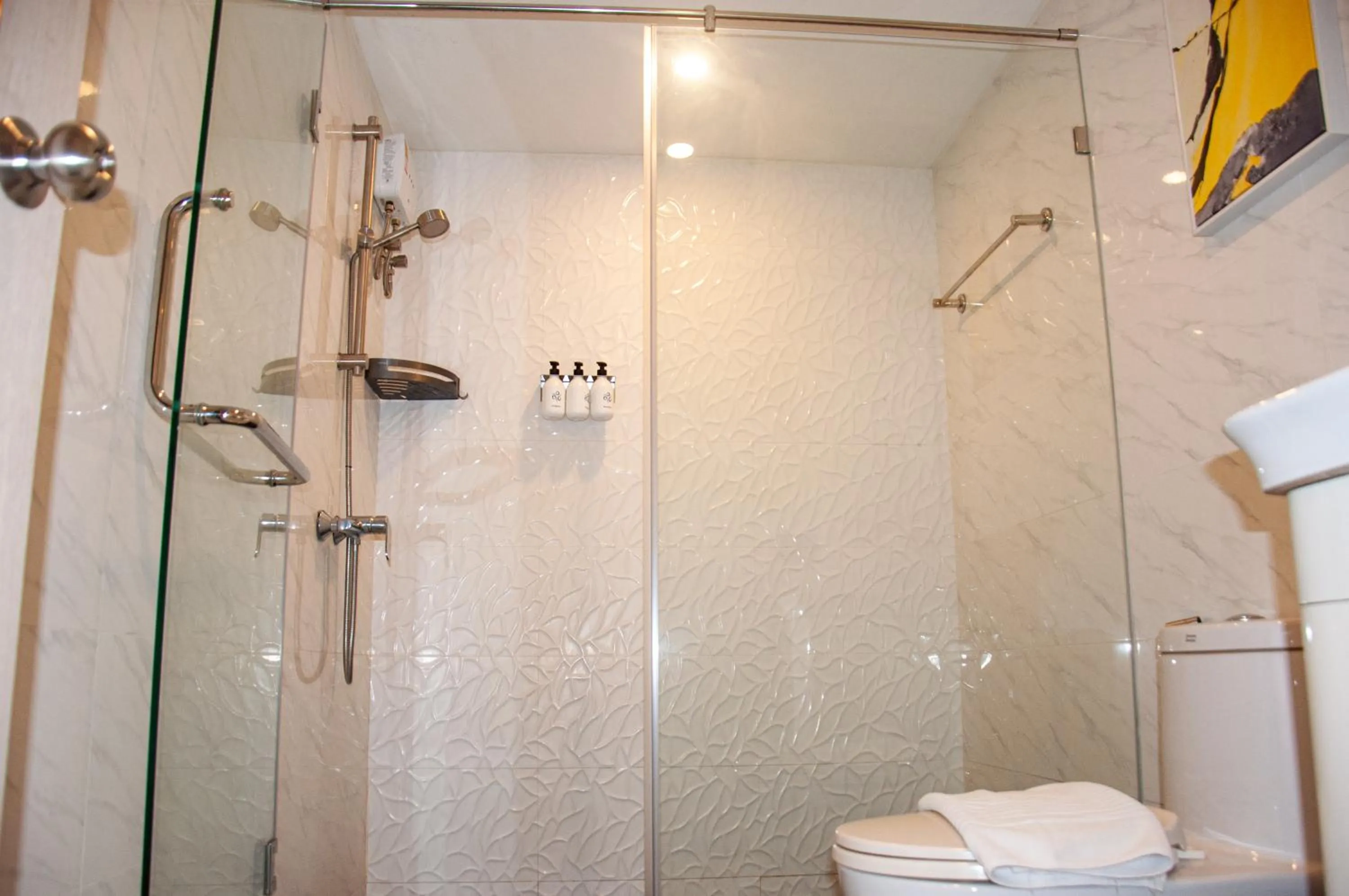 Shower in HT9 Hotel