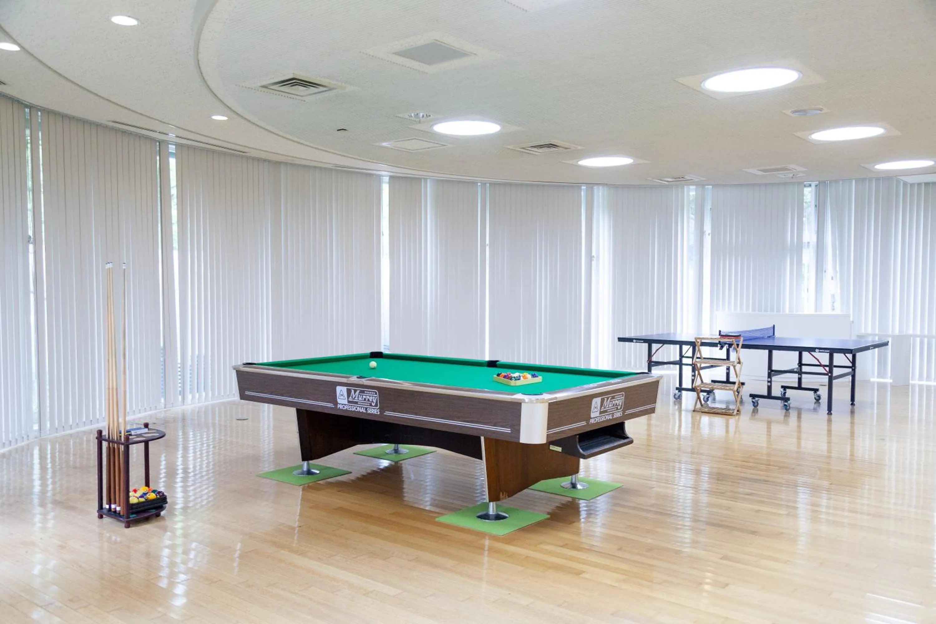 Billiard in BIO-RESORT HOTEL & SPA O Park OGOSE