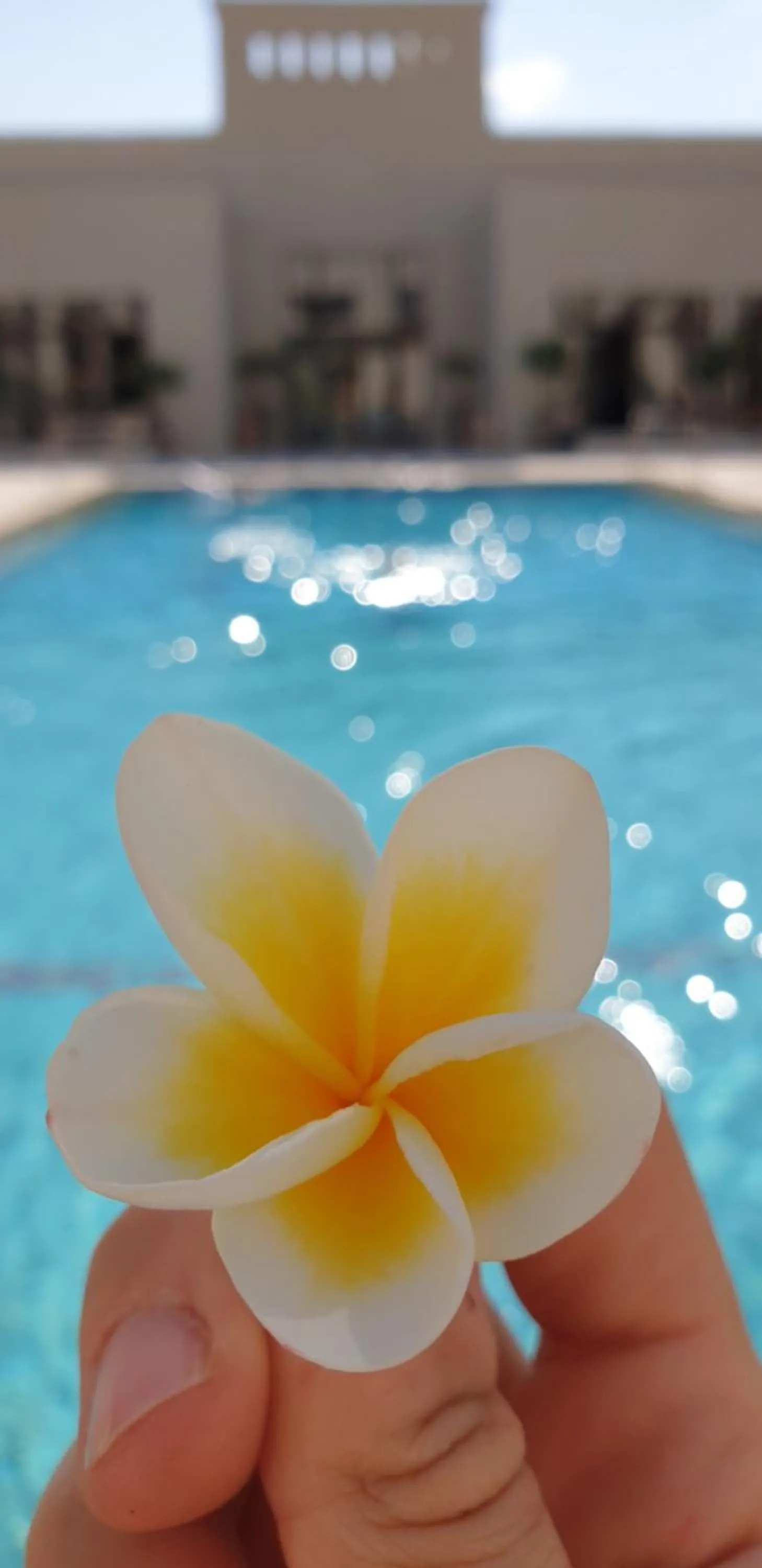 Swimming pool in Kedma by Isrotel Collection