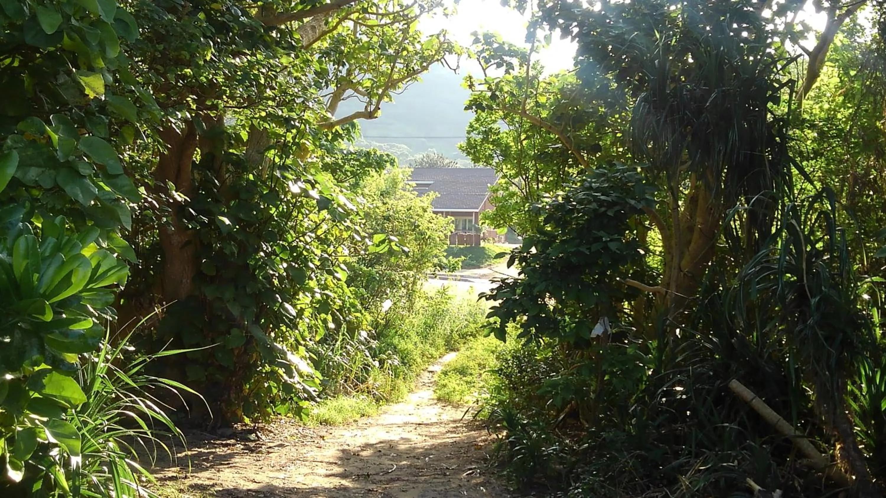 YOISAMA Sunset Beach House