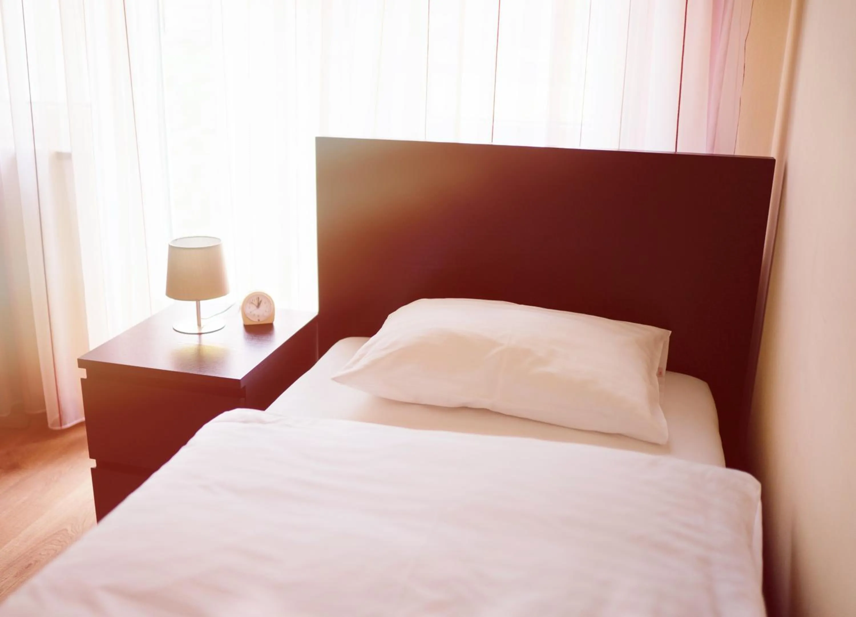 Large Single Room - single occupancy in Hotel - Pension Vesta