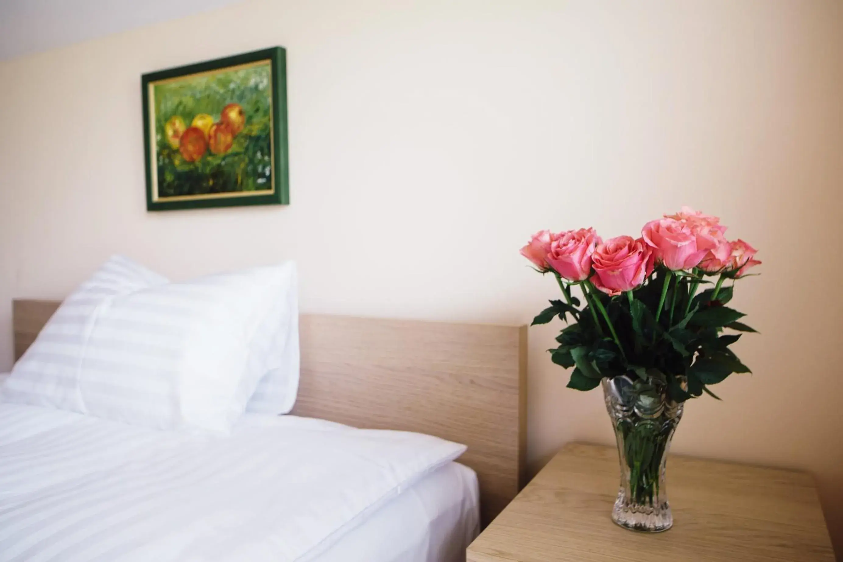 Standard Double Room in Hotel - Pension Vesta Standard Double Room in Hotel - Pension Vesta