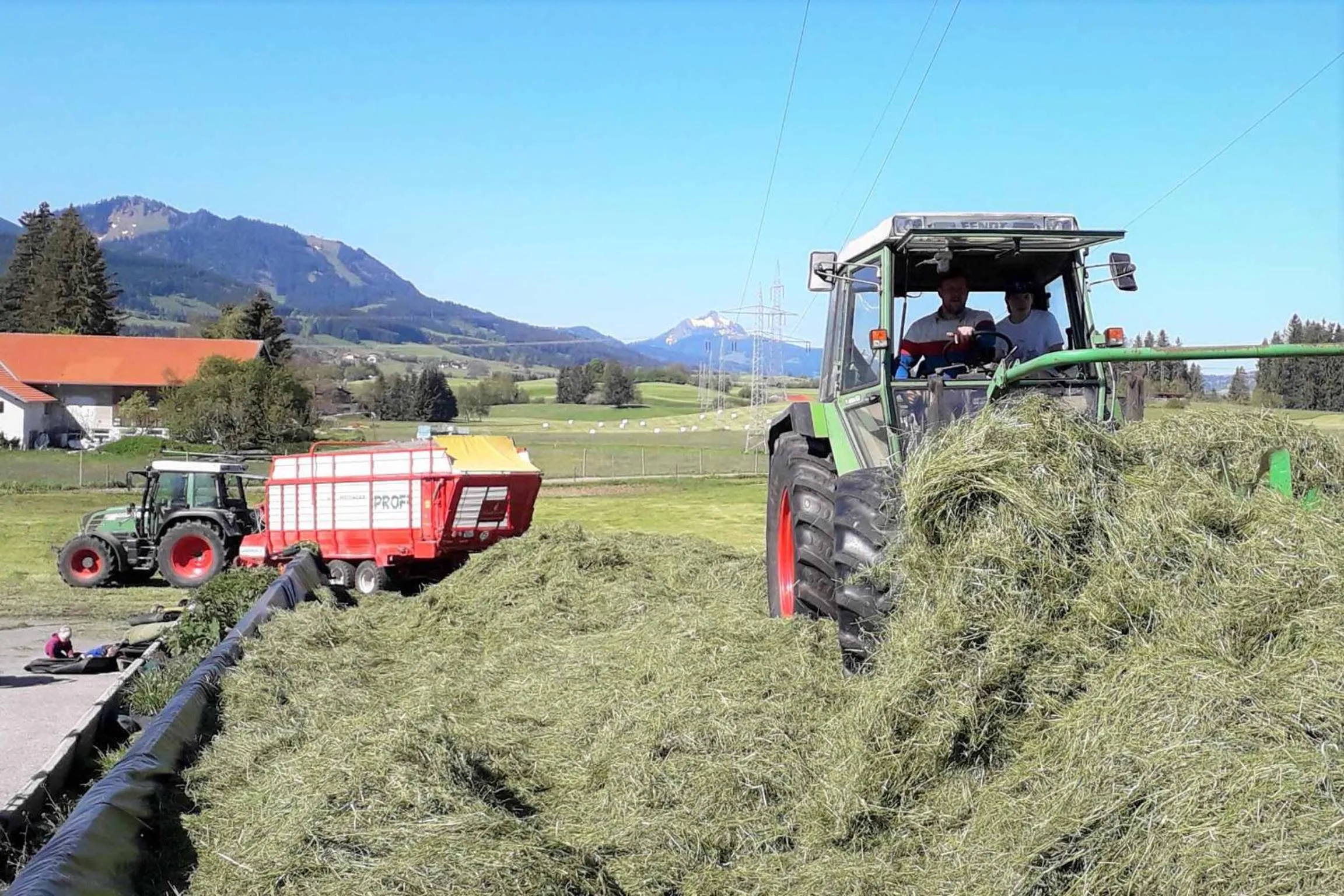 Activities in Veiter-Hof
