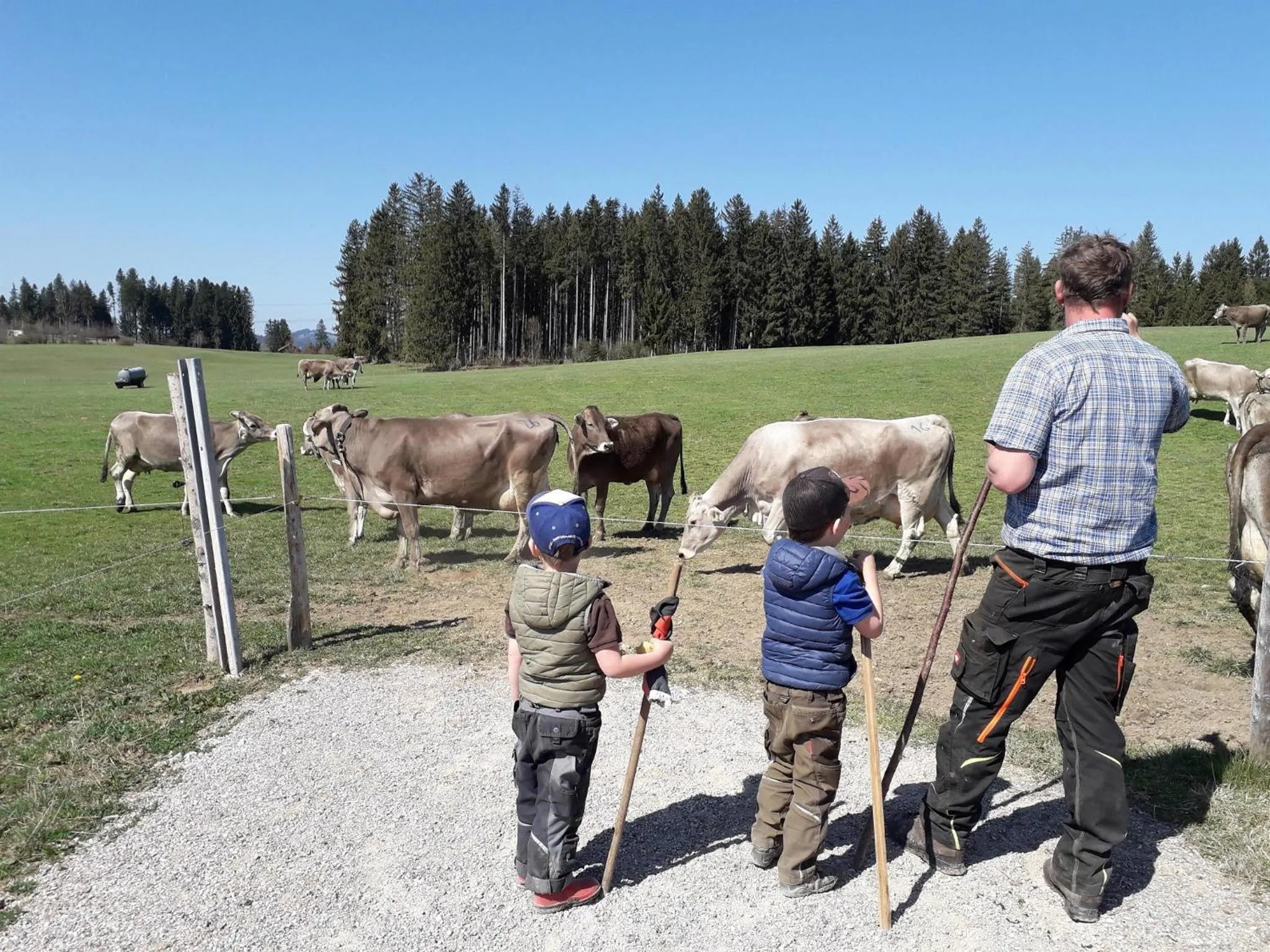 Animals in Veiter-Hof